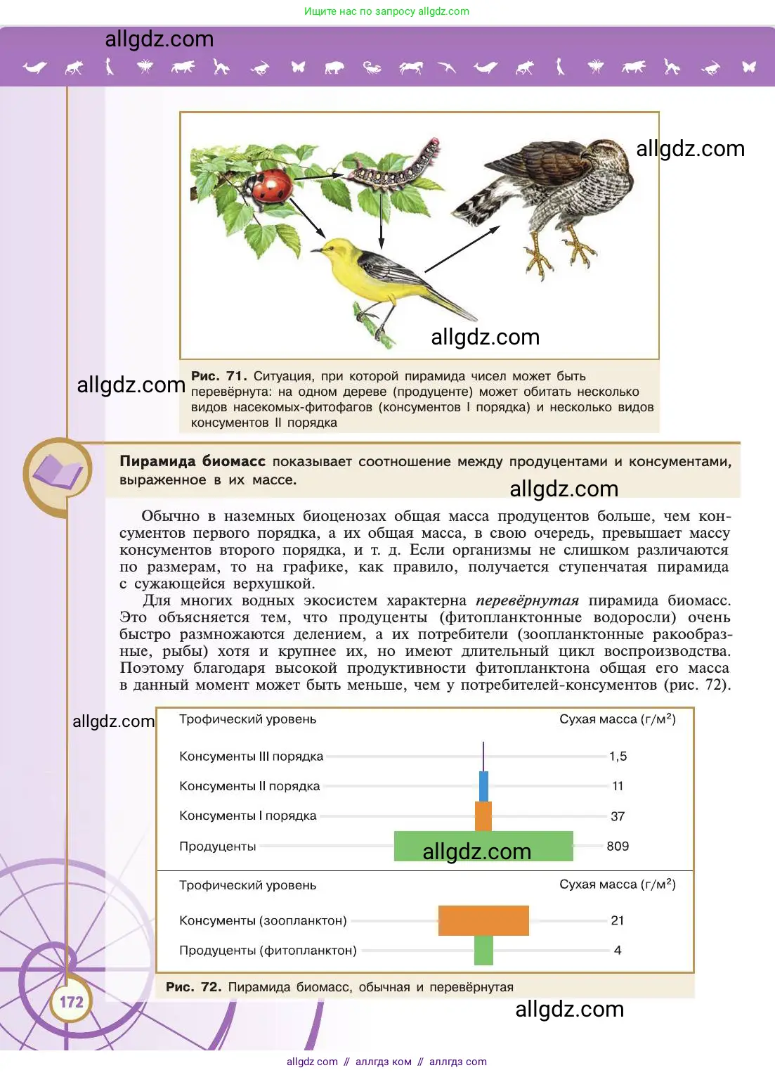 Биология, 11 класс Учебник, авторы: Пасечник Владимир Васильевич, Каменский Андрей Александрович, Рубцов Александр Михайлович, Швецов Глеб Геннадьевич, Абовян Леван Арташесович, Гапонюк Зоя Георгиевна, издательство Просвещение, Москва, 2019, страница 172