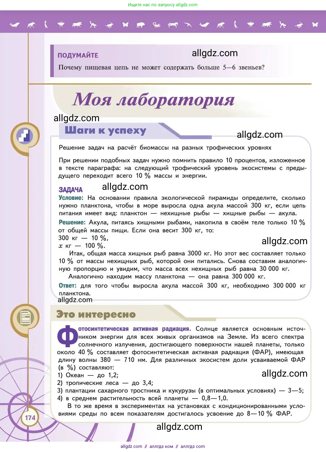 Биология, 11 класс Учебник, авторы: Пасечник Владимир Васильевич, Каменский Андрей Александрович, Рубцов Александр Михайлович, Швецов Глеб Геннадьевич, Абовян Леван Арташесович, Гапонюк Зоя Георгиевна, издательство Просвещение, Москва, 2019, страница 174