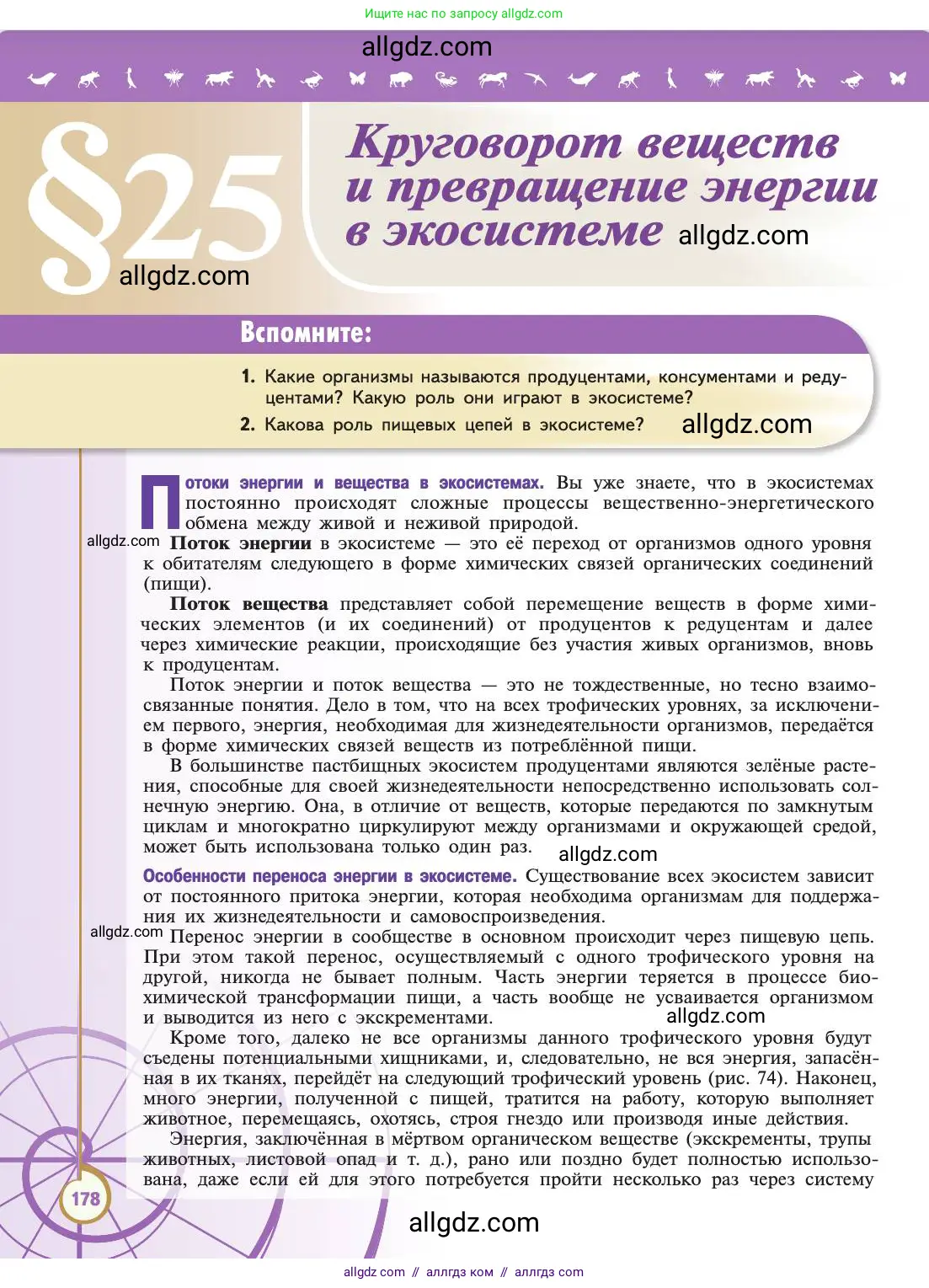Биология, 11 класс Учебник, авторы: Пасечник Владимир Васильевич, Каменский Андрей Александрович, Рубцов Александр Михайлович, Швецов Глеб Геннадьевич, Абовян Леван Арташесович, Гапонюк Зоя Георгиевна, издательство Просвещение, Москва, 2019, страница 178