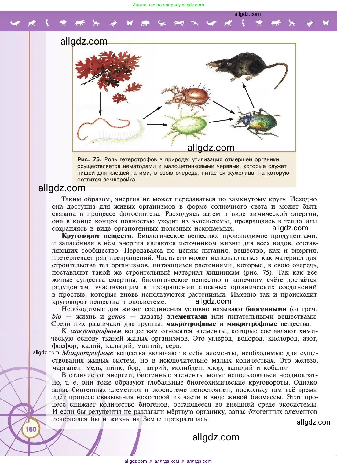 Биология, 11 класс Учебник, авторы: Пасечник Владимир Васильевич, Каменский Андрей Александрович, Рубцов Александр Михайлович, Швецов Глеб Геннадьевич, Абовян Леван Арташесович, Гапонюк Зоя Георгиевна, издательство Просвещение, Москва, 2019, страница 180