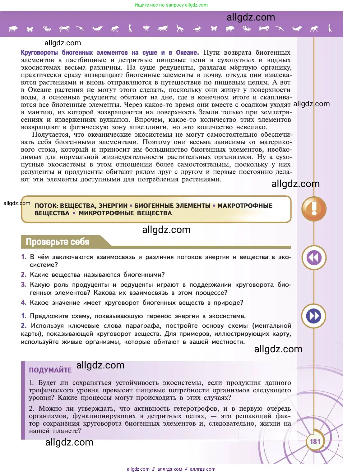 Биология, 11 класс Учебник, авторы: Пасечник Владимир Васильевич, Каменский Андрей Александрович, Рубцов Александр Михайлович, Швецов Глеб Геннадьевич, Абовян Леван Арташесович, Гапонюк Зоя Георгиевна, издательство Просвещение, Москва, 2019, страница 181