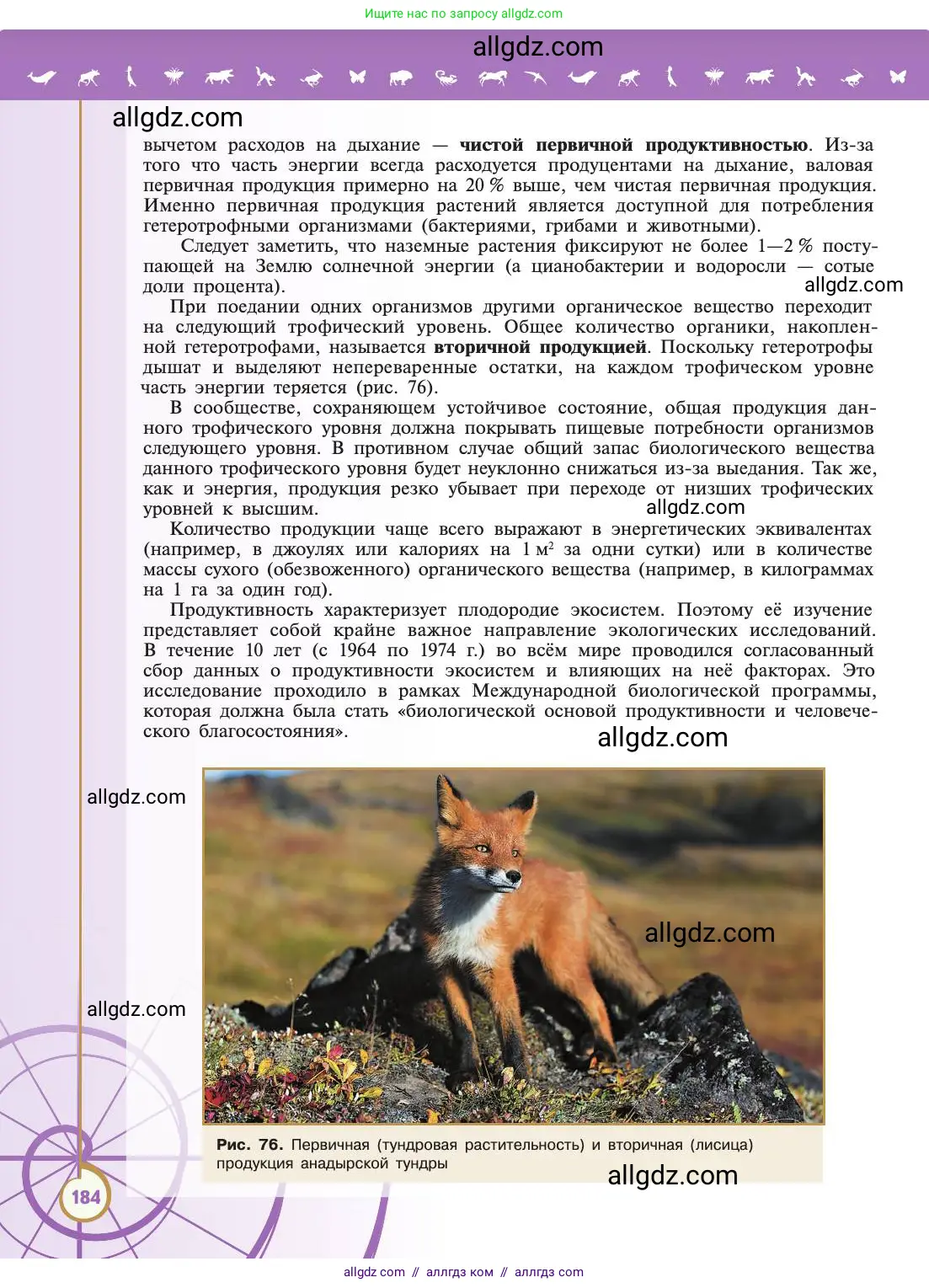 Биология, 11 класс Учебник, авторы: Пасечник Владимир Васильевич, Каменский Андрей Александрович, Рубцов Александр Михайлович, Швецов Глеб Геннадьевич, Абовян Леван Арташесович, Гапонюк Зоя Георгиевна, издательство Просвещение, Москва, 2019, страница 184