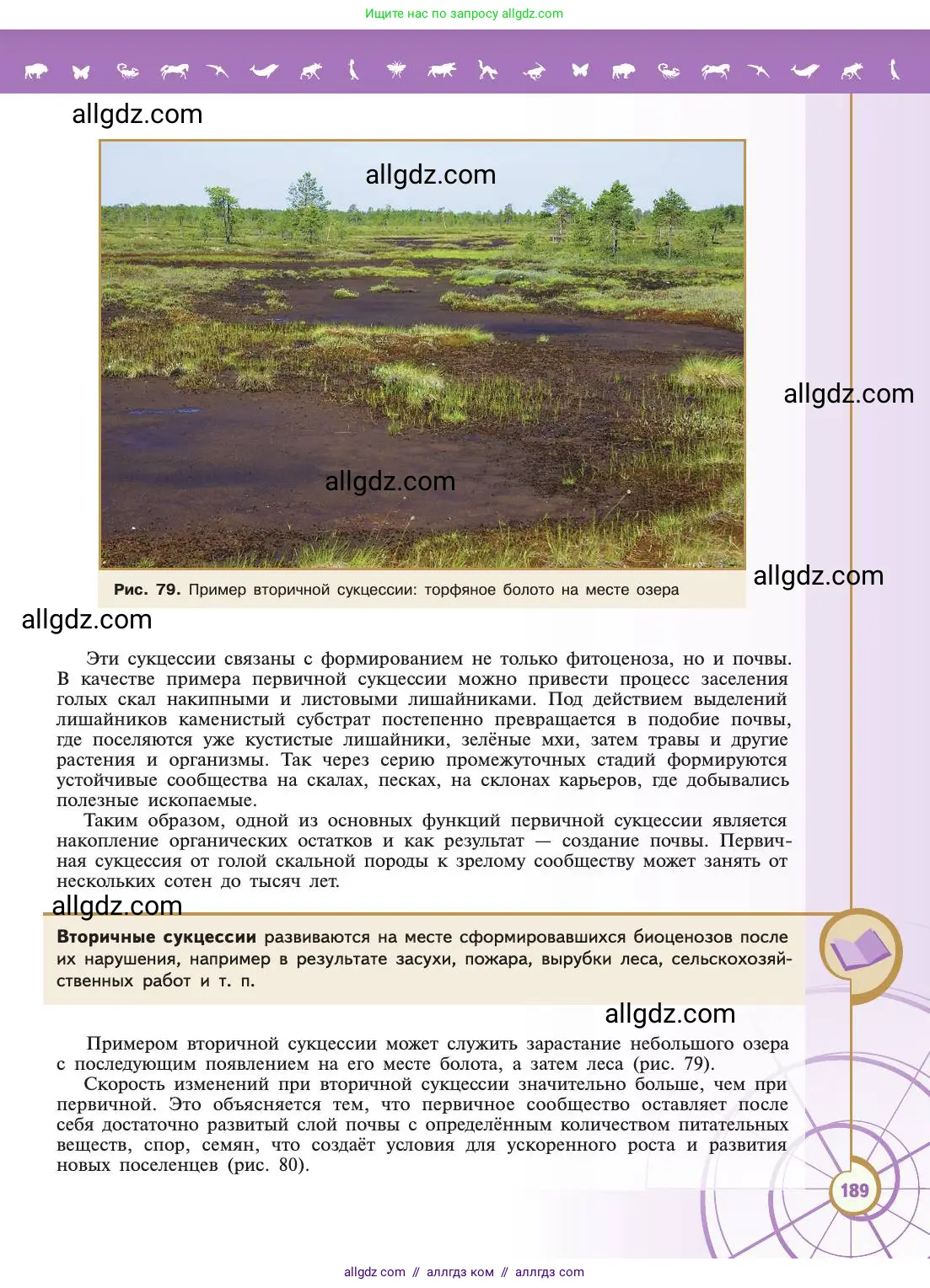 Биология, 11 класс Учебник, авторы: Пасечник Владимир Васильевич, Каменский Андрей Александрович, Рубцов Александр Михайлович, Швецов Глеб Геннадьевич, Абовян Леван Арташесович, Гапонюк Зоя Георгиевна, издательство Просвещение, Москва, 2019, страница 189