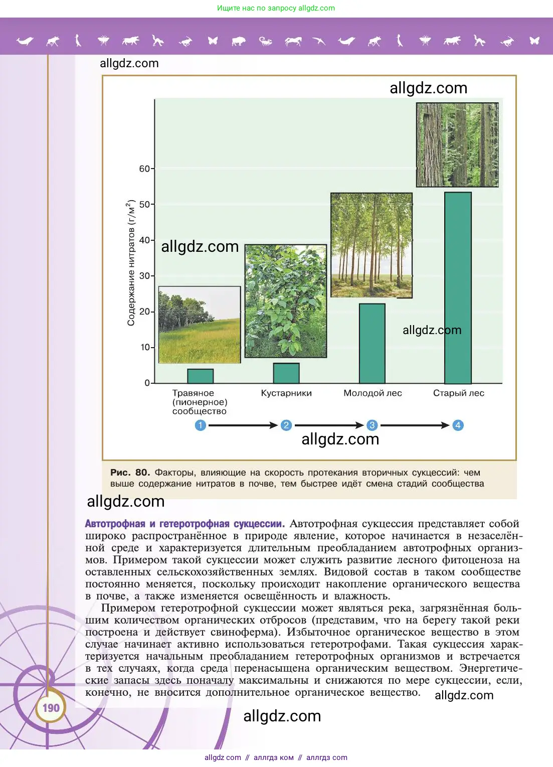 Биология, 11 класс Учебник, авторы: Пасечник Владимир Васильевич, Каменский Андрей Александрович, Рубцов Александр Михайлович, Швецов Глеб Геннадьевич, Абовян Леван Арташесович, Гапонюк Зоя Георгиевна, издательство Просвещение, Москва, 2019, страница 190