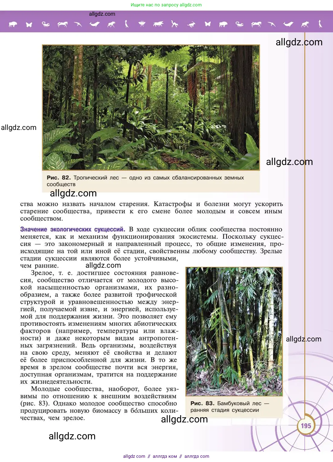 Биология, 11 класс Учебник, авторы: Пасечник Владимир Васильевич, Каменский Андрей Александрович, Рубцов Александр Михайлович, Швецов Глеб Геннадьевич, Абовян Леван Арташесович, Гапонюк Зоя Георгиевна, издательство Просвещение, Москва, 2019, страница 195