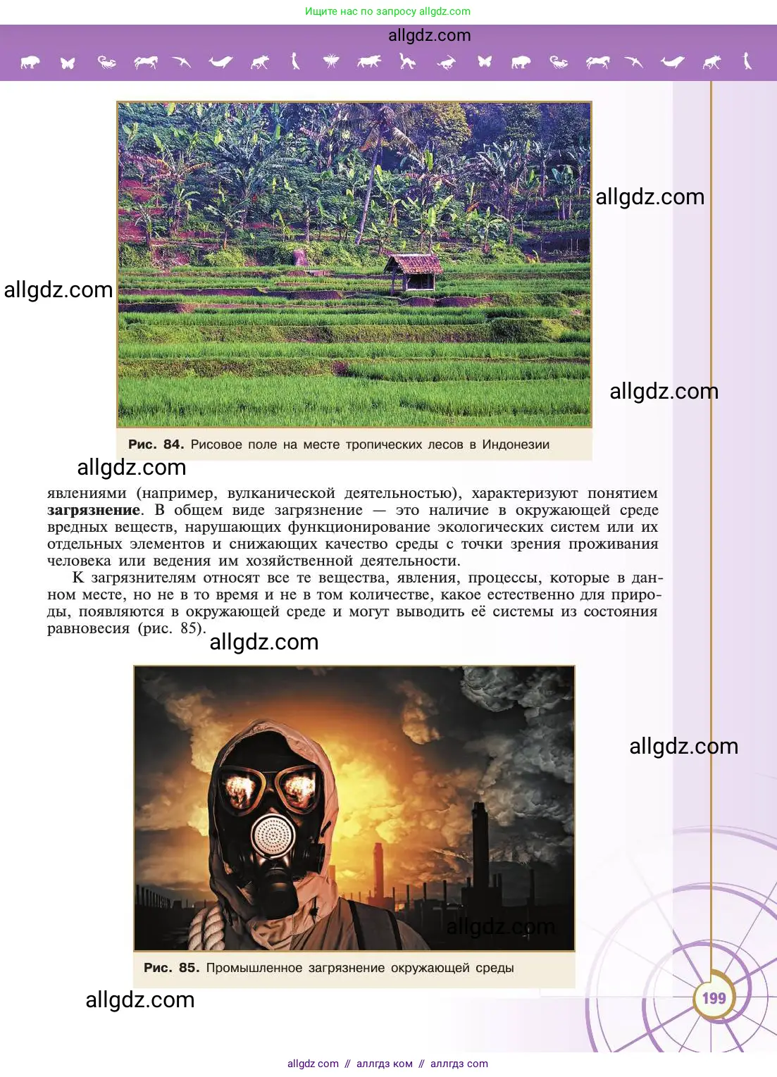 Биология, 11 класс Учебник, авторы: Пасечник Владимир Васильевич, Каменский Андрей Александрович, Рубцов Александр Михайлович, Швецов Глеб Геннадьевич, Абовян Леван Арташесович, Гапонюк Зоя Георгиевна, издательство Просвещение, Москва, 2019, страница 199