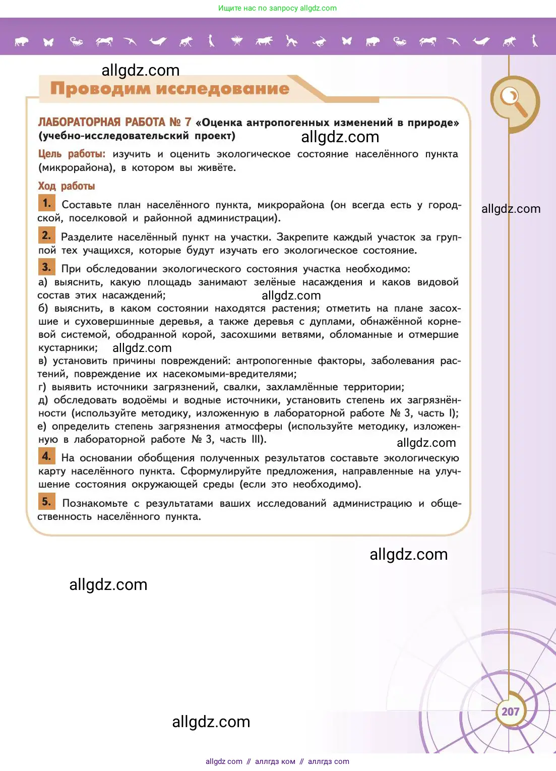 Биология, 11 класс Учебник, авторы: Пасечник Владимир Васильевич, Каменский Андрей Александрович, Рубцов Александр Михайлович, Швецов Глеб Геннадьевич, Абовян Леван Арташесович, Гапонюк Зоя Георгиевна, издательство Просвещение, Москва, 2019, страница 207