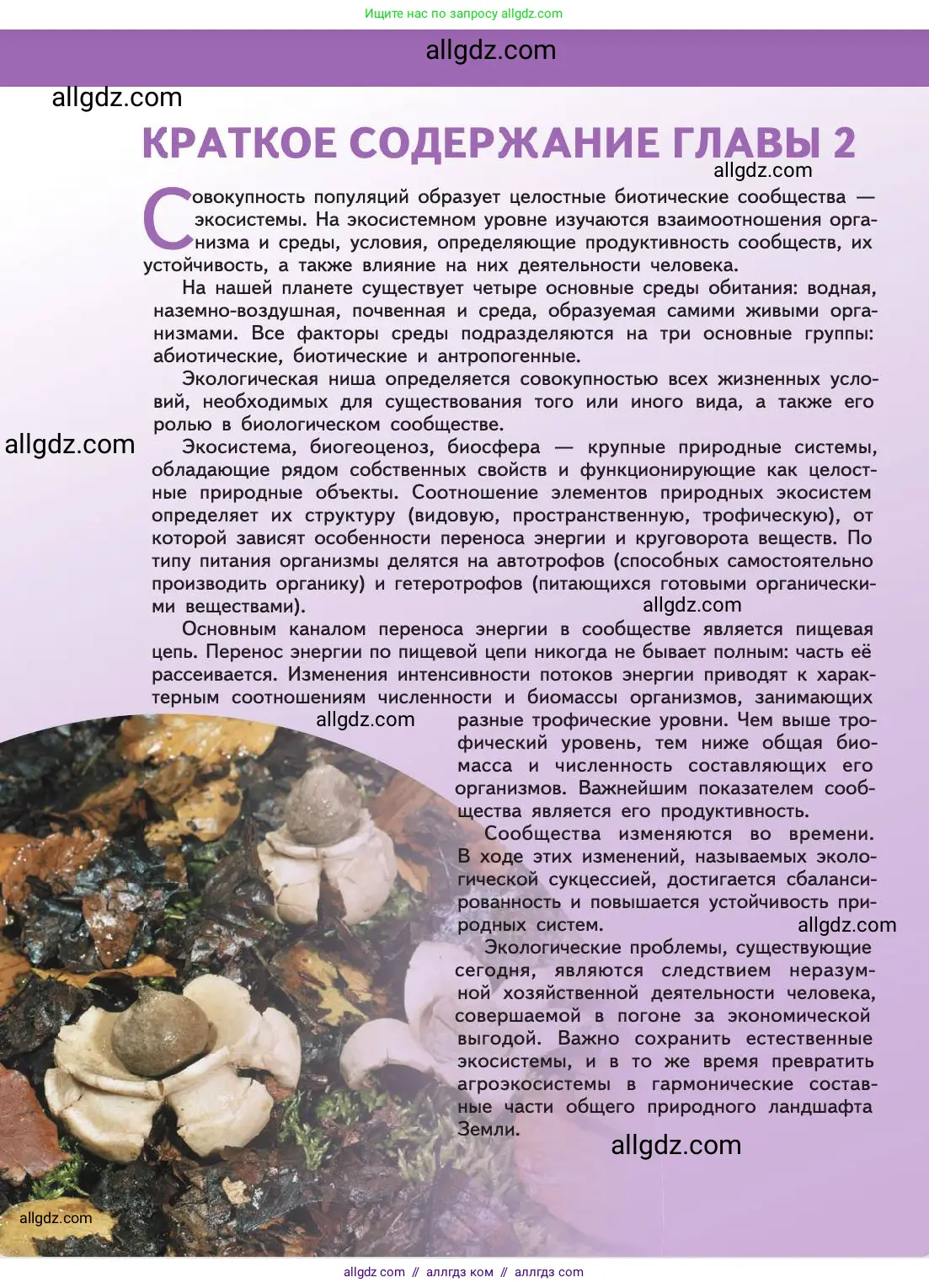 Биология, 11 класс Учебник, авторы: Пасечник Владимир Васильевич, Каменский Андрей Александрович, Рубцов Александр Михайлович, Швецов Глеб Геннадьевич, Абовян Леван Арташесович, Гапонюк Зоя Георгиевна, издательство Просвещение, Москва, 2019, страница 210