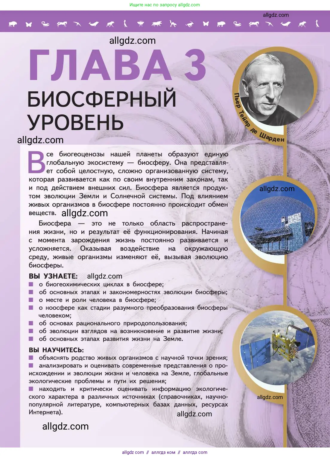 Биология, 11 класс Учебник, авторы: Пасечник Владимир Васильевич, Каменский Андрей Александрович, Рубцов Александр Михайлович, Швецов Глеб Геннадьевич, Абовян Леван Арташесович, Гапонюк Зоя Георгиевна, издательство Просвещение, Москва, 2019, страница 211