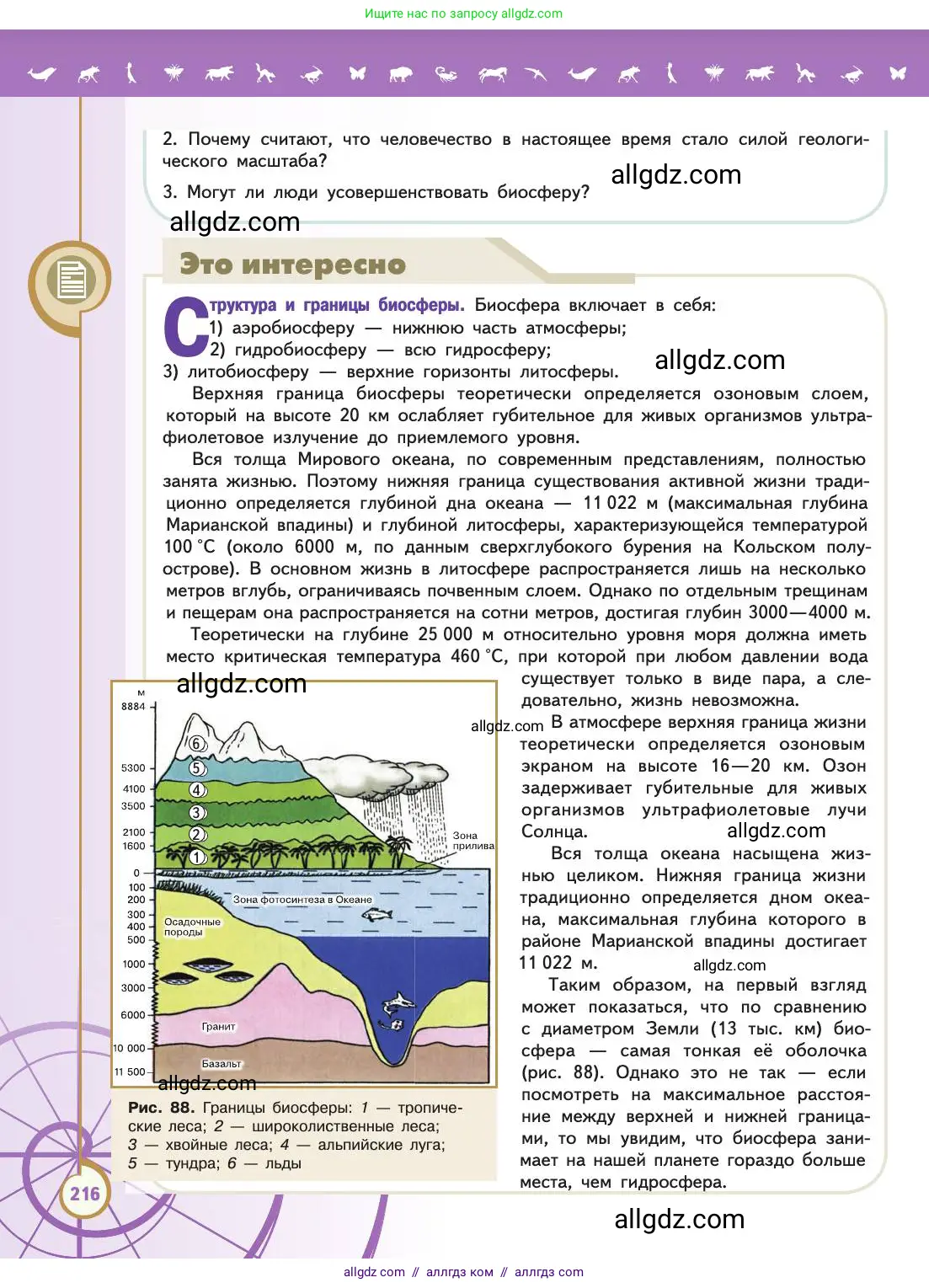 Биология, 11 класс Учебник, авторы: Пасечник Владимир Васильевич, Каменский Андрей Александрович, Рубцов Александр Михайлович, Швецов Глеб Геннадьевич, Абовян Леван Арташесович, Гапонюк Зоя Георгиевна, издательство Просвещение, Москва, 2019, страница 216