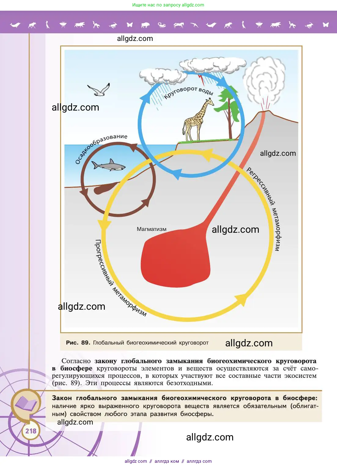Биология, 11 класс Учебник, авторы: Пасечник Владимир Васильевич, Каменский Андрей Александрович, Рубцов Александр Михайлович, Швецов Глеб Геннадьевич, Абовян Леван Арташесович, Гапонюк Зоя Георгиевна, издательство Просвещение, Москва, 2019, страница 218