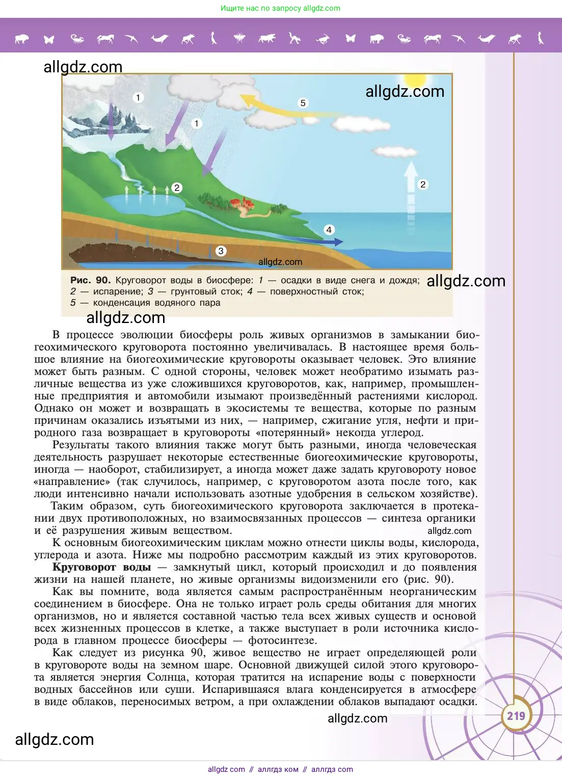 Биология, 11 класс Учебник, авторы: Пасечник Владимир Васильевич, Каменский Андрей Александрович, Рубцов Александр Михайлович, Швецов Глеб Геннадьевич, Абовян Леван Арташесович, Гапонюк Зоя Георгиевна, издательство Просвещение, Москва, 2019, страница 219