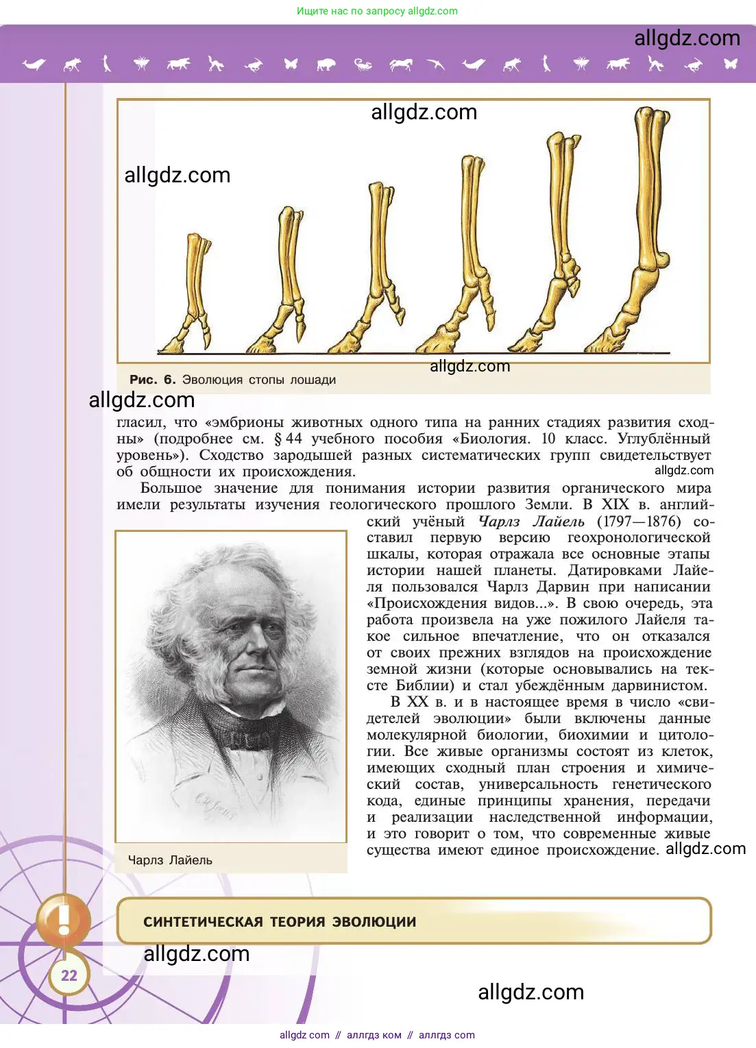 Биология, 11 класс Учебник, авторы: Пасечник Владимир Васильевич, Каменский Андрей Александрович, Рубцов Александр Михайлович, Швецов Глеб Геннадьевич, Абовян Леван Арташесович, Гапонюк Зоя Георгиевна, издательство Просвещение, Москва, 2019, страница 22