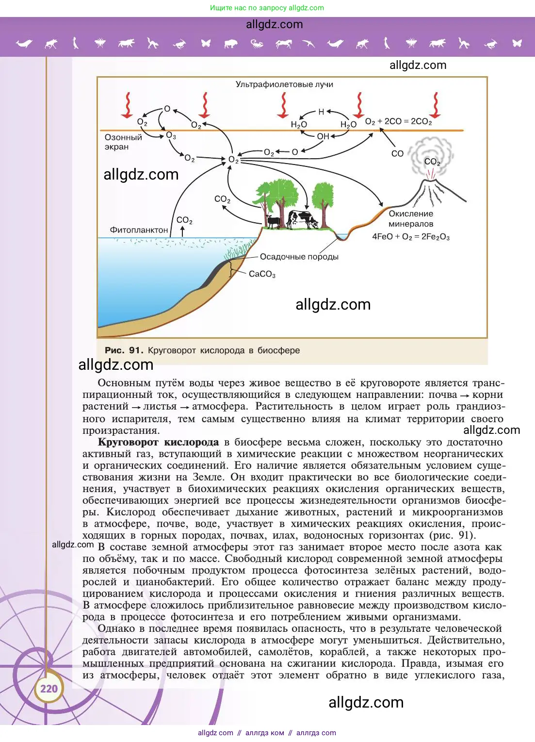 Биология, 11 класс Учебник, авторы: Пасечник Владимир Васильевич, Каменский Андрей Александрович, Рубцов Александр Михайлович, Швецов Глеб Геннадьевич, Абовян Леван Арташесович, Гапонюк Зоя Георгиевна, издательство Просвещение, Москва, 2019, страница 220