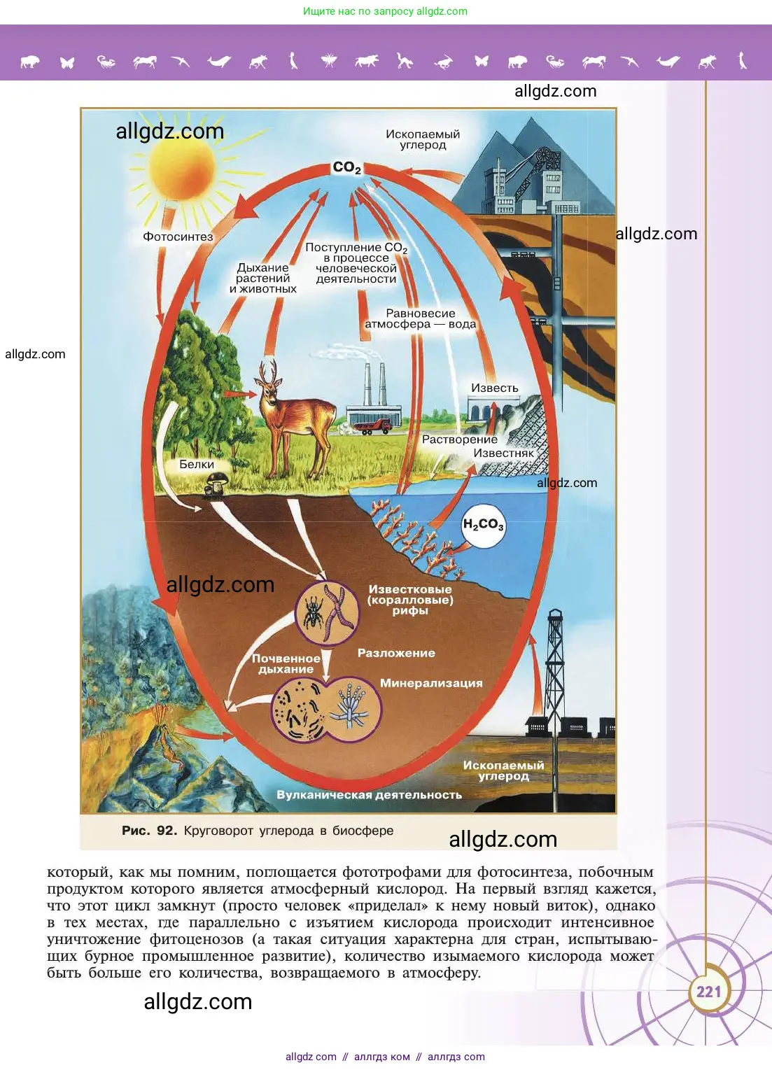 Биология, 11 класс Учебник, авторы: Пасечник Владимир Васильевич, Каменский Андрей Александрович, Рубцов Александр Михайлович, Швецов Глеб Геннадьевич, Абовян Леван Арташесович, Гапонюк Зоя Георгиевна, издательство Просвещение, Москва, 2019, страница 221