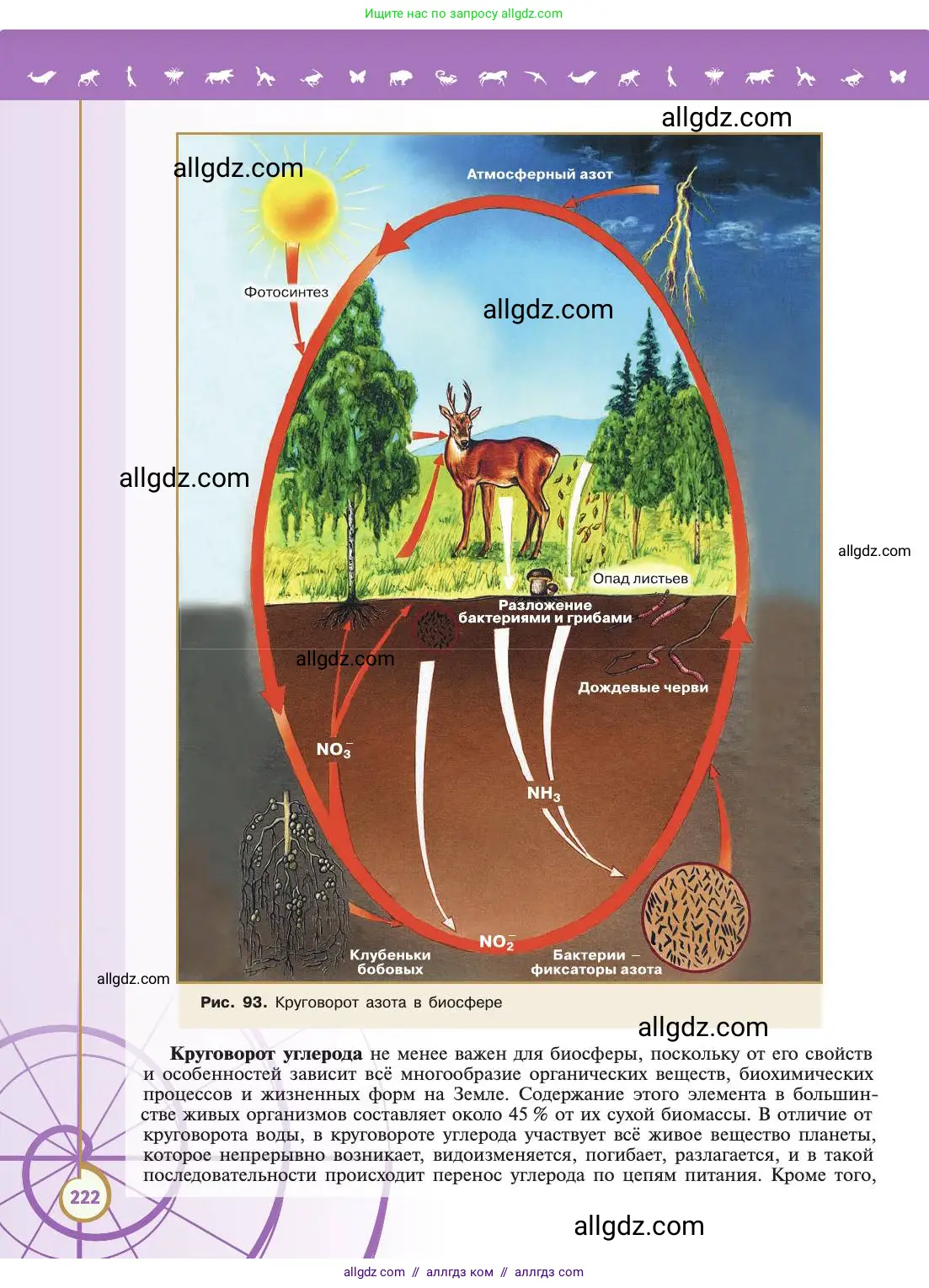 Биология, 11 класс Учебник, авторы: Пасечник Владимир Васильевич, Каменский Андрей Александрович, Рубцов Александр Михайлович, Швецов Глеб Геннадьевич, Абовян Леван Арташесович, Гапонюк Зоя Георгиевна, издательство Просвещение, Москва, 2019, страница 222