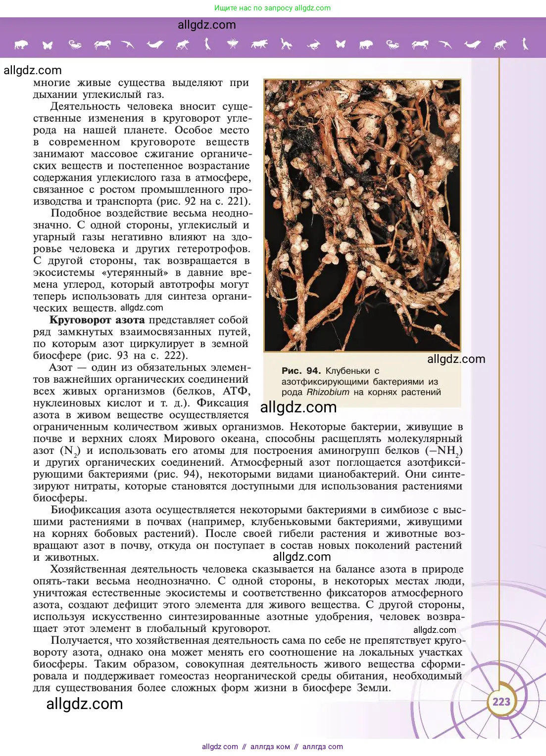 Биология, 11 класс Учебник, авторы: Пасечник Владимир Васильевич, Каменский Андрей Александрович, Рубцов Александр Михайлович, Швецов Глеб Геннадьевич, Абовян Леван Арташесович, Гапонюк Зоя Георгиевна, издательство Просвещение, Москва, 2019, страница 223