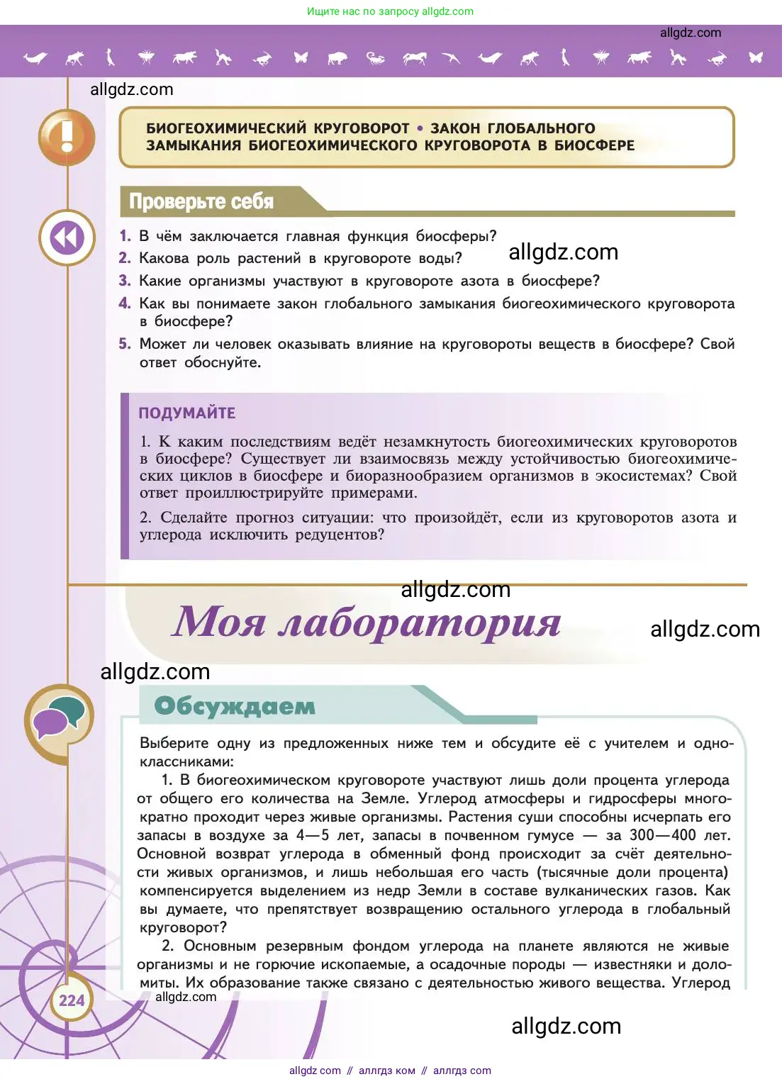 Биология, 11 класс Учебник, авторы: Пасечник Владимир Васильевич, Каменский Андрей Александрович, Рубцов Александр Михайлович, Швецов Глеб Геннадьевич, Абовян Леван Арташесович, Гапонюк Зоя Георгиевна, издательство Просвещение, Москва, 2019, страница 224