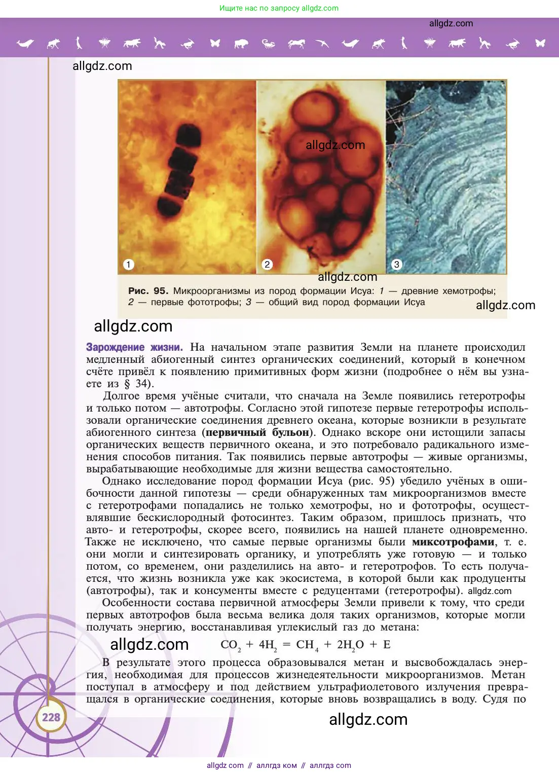 Биология, 11 класс Учебник, авторы: Пасечник Владимир Васильевич, Каменский Андрей Александрович, Рубцов Александр Михайлович, Швецов Глеб Геннадьевич, Абовян Леван Арташесович, Гапонюк Зоя Георгиевна, издательство Просвещение, Москва, 2019, страница 228