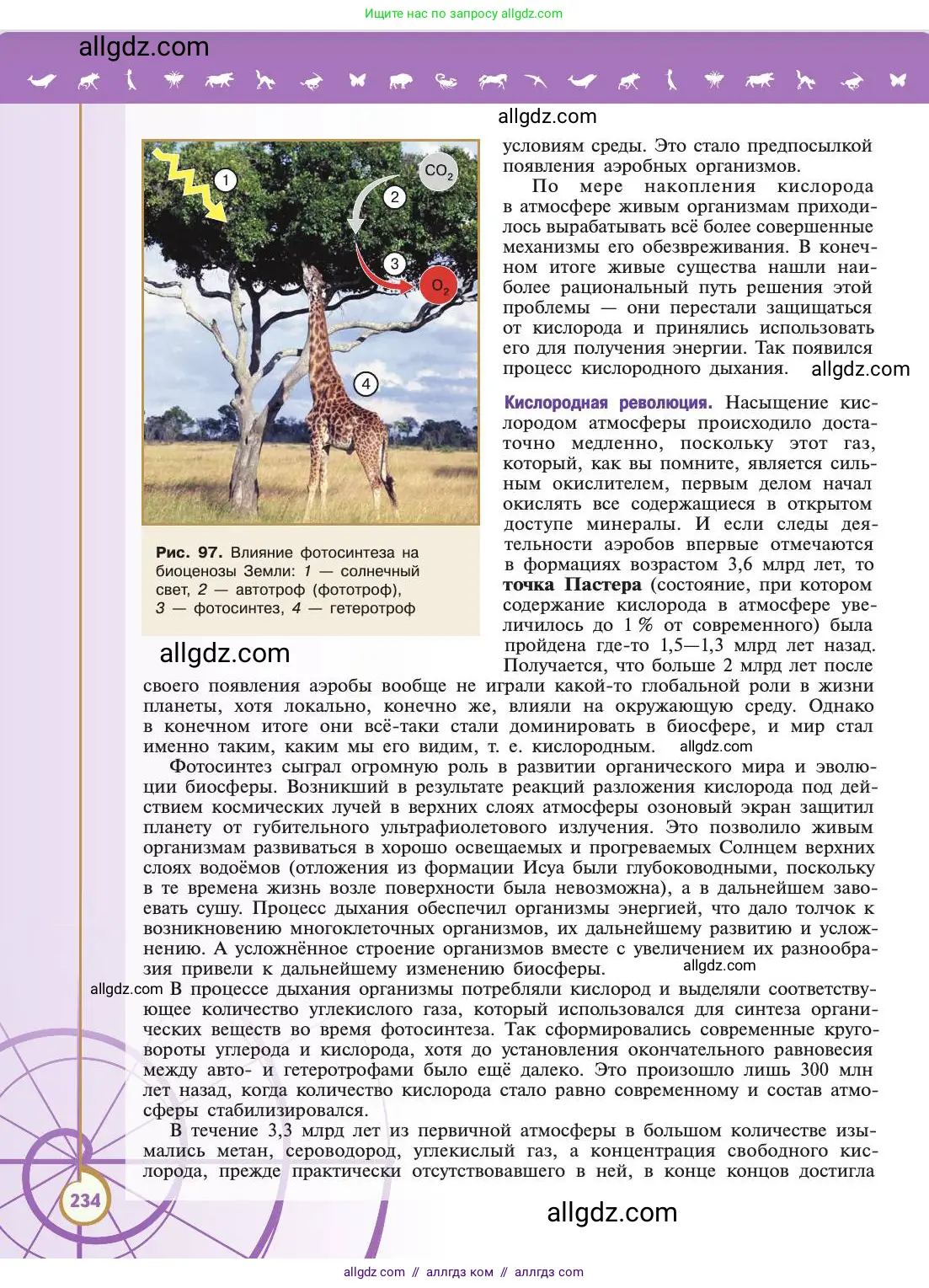 Биология, 11 класс Учебник, авторы: Пасечник Владимир Васильевич, Каменский Андрей Александрович, Рубцов Александр Михайлович, Швецов Глеб Геннадьевич, Абовян Леван Арташесович, Гапонюк Зоя Георгиевна, издательство Просвещение, Москва, 2019, страница 234