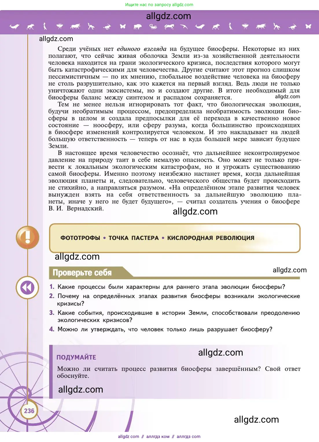 Биология, 11 класс Учебник, авторы: Пасечник Владимир Васильевич, Каменский Андрей Александрович, Рубцов Александр Михайлович, Швецов Глеб Геннадьевич, Абовян Леван Арташесович, Гапонюк Зоя Георгиевна, издательство Просвещение, Москва, 2019, страница 236