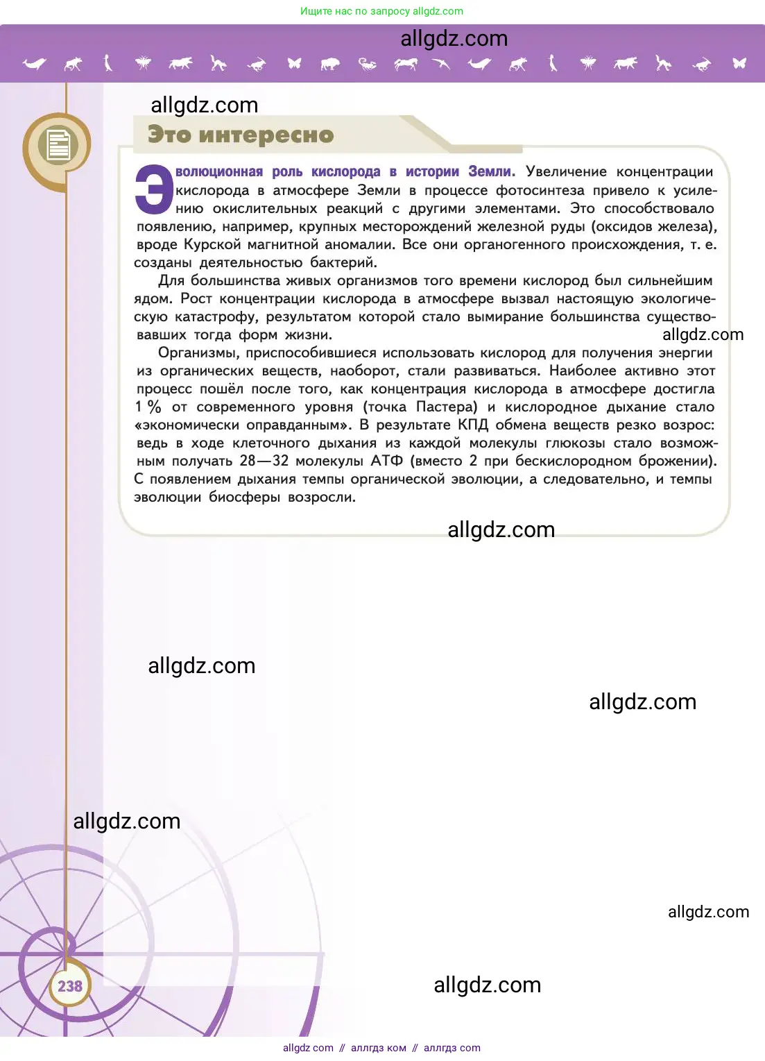 Биология, 11 класс Учебник, авторы: Пасечник Владимир Васильевич, Каменский Андрей Александрович, Рубцов Александр Михайлович, Швецов Глеб Геннадьевич, Абовян Леван Арташесович, Гапонюк Зоя Георгиевна, издательство Просвещение, Москва, 2019, страница 238