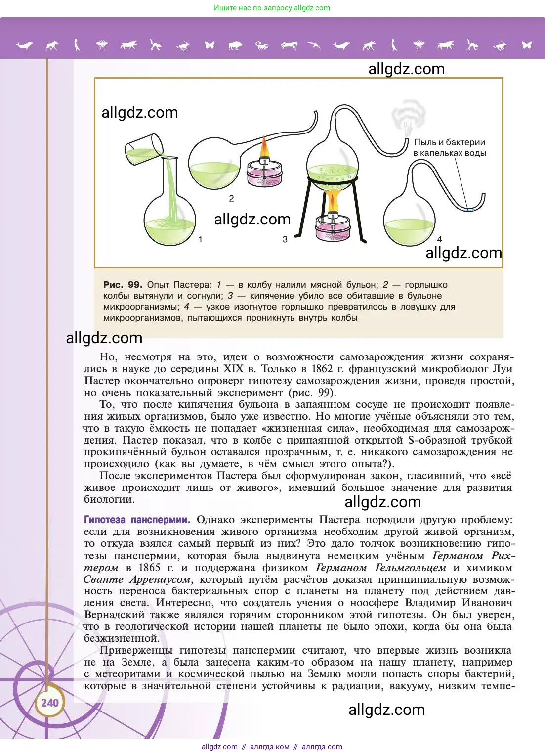 Биология, 11 класс Учебник, авторы: Пасечник Владимир Васильевич, Каменский Андрей Александрович, Рубцов Александр Михайлович, Швецов Глеб Геннадьевич, Абовян Леван Арташесович, Гапонюк Зоя Георгиевна, издательство Просвещение, Москва, 2019, страница 240