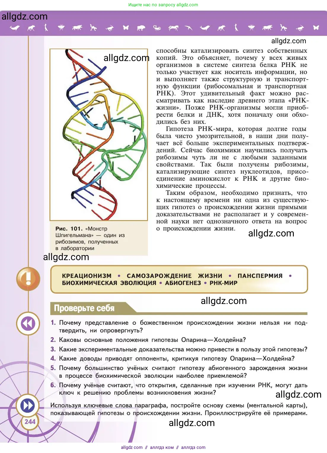 Биология, 11 класс Учебник, авторы: Пасечник Владимир Васильевич, Каменский Андрей Александрович, Рубцов Александр Михайлович, Швецов Глеб Геннадьевич, Абовян Леван Арташесович, Гапонюк Зоя Георгиевна, издательство Просвещение, Москва, 2019, страница 244