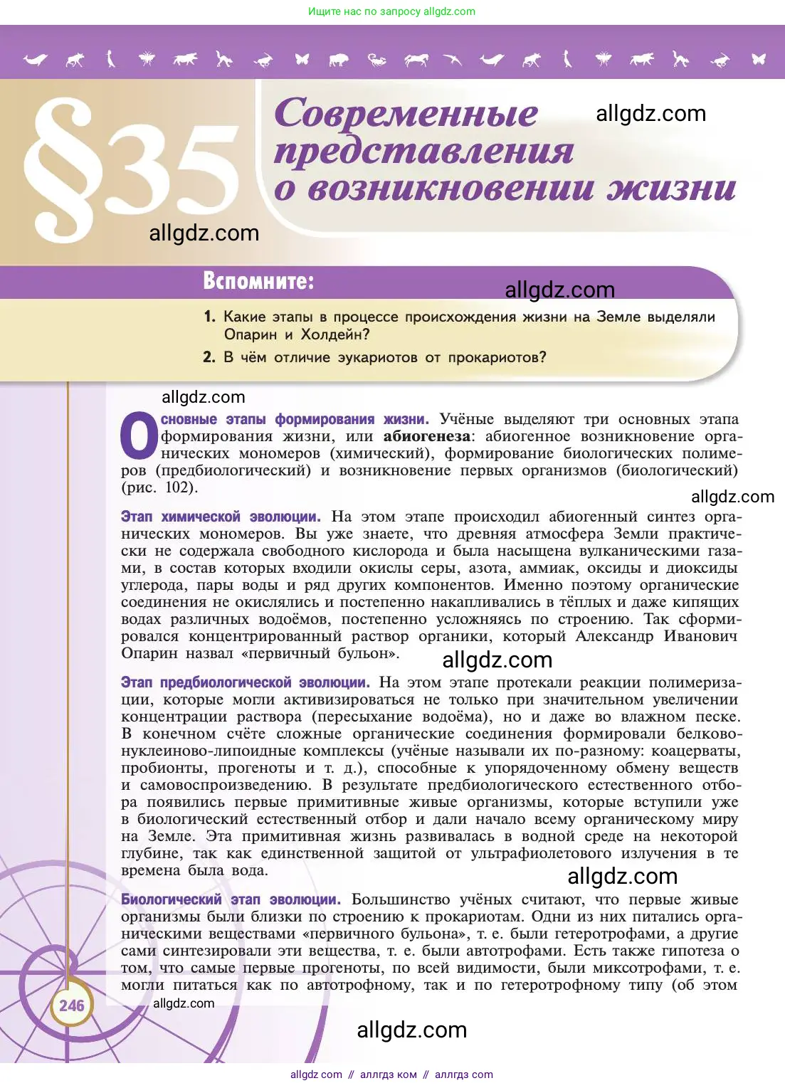 Биология, 11 класс Учебник, авторы: Пасечник Владимир Васильевич, Каменский Андрей Александрович, Рубцов Александр Михайлович, Швецов Глеб Геннадьевич, Абовян Леван Арташесович, Гапонюк Зоя Георгиевна, издательство Просвещение, Москва, 2019, страница 246