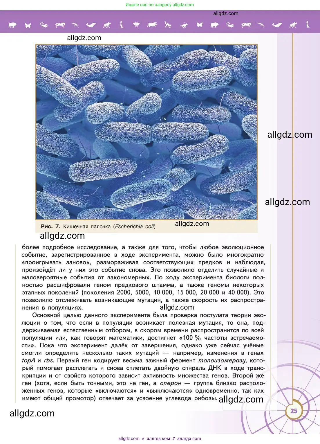 Биология, 11 класс Учебник, авторы: Пасечник Владимир Васильевич, Каменский Андрей Александрович, Рубцов Александр Михайлович, Швецов Глеб Геннадьевич, Абовян Леван Арташесович, Гапонюк Зоя Георгиевна, издательство Просвещение, Москва, 2019, страница 25