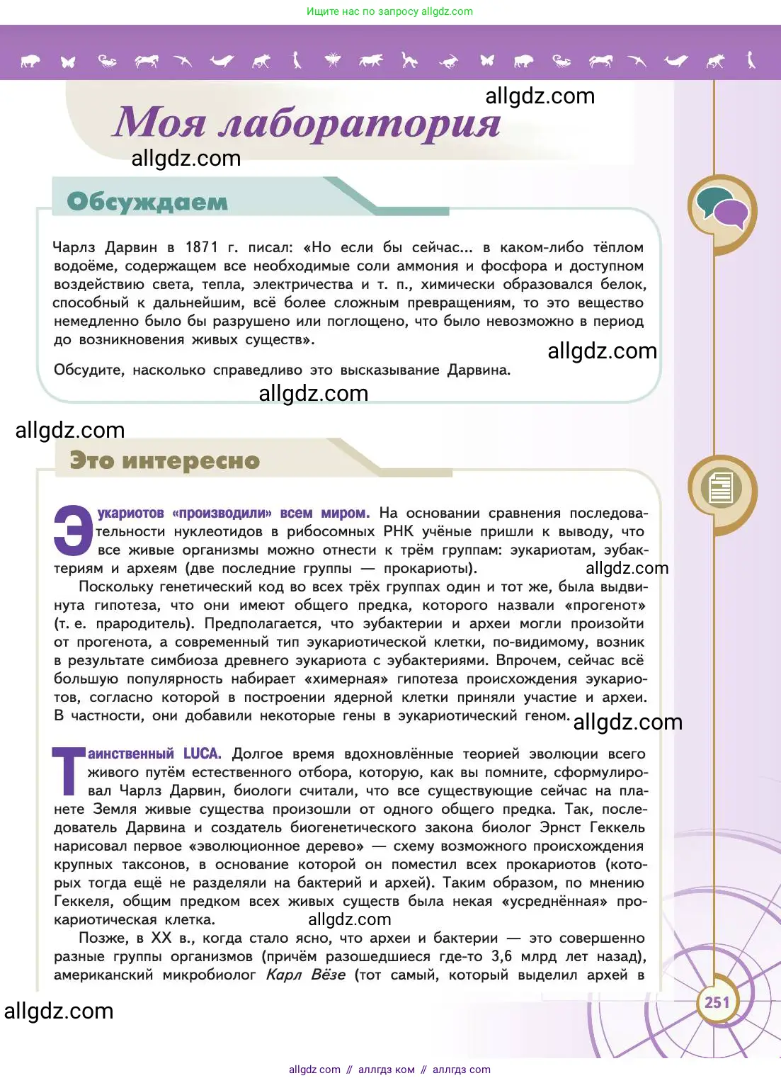 Биология, 11 класс Учебник, авторы: Пасечник Владимир Васильевич, Каменский Андрей Александрович, Рубцов Александр Михайлович, Швецов Глеб Геннадьевич, Абовян Леван Арташесович, Гапонюк Зоя Георгиевна, издательство Просвещение, Москва, 2019, страница 251