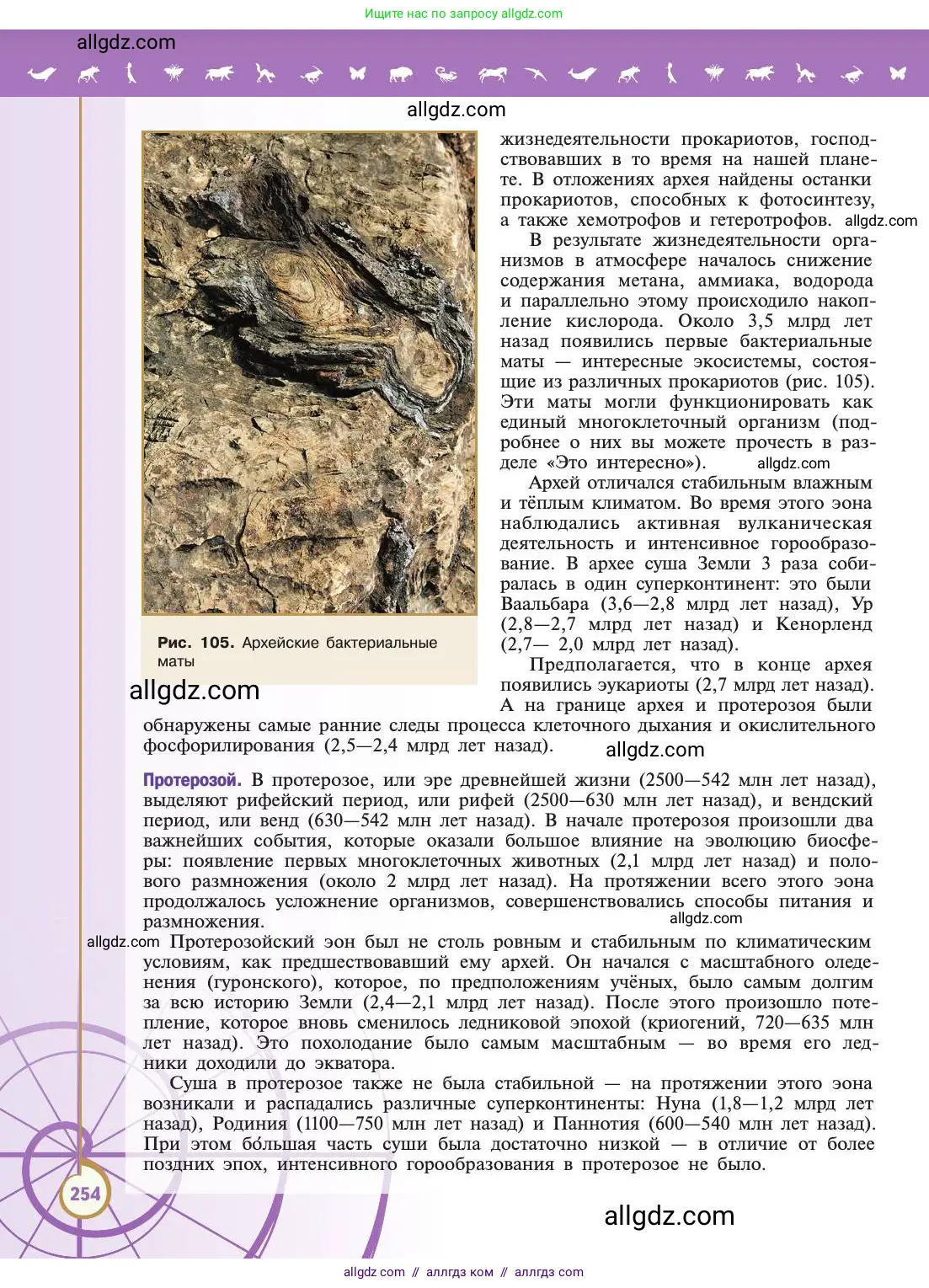 Биология, 11 класс Учебник, авторы: Пасечник Владимир Васильевич, Каменский Андрей Александрович, Рубцов Александр Михайлович, Швецов Глеб Геннадьевич, Абовян Леван Арташесович, Гапонюк Зоя Георгиевна, издательство Просвещение, Москва, 2019, страница 254