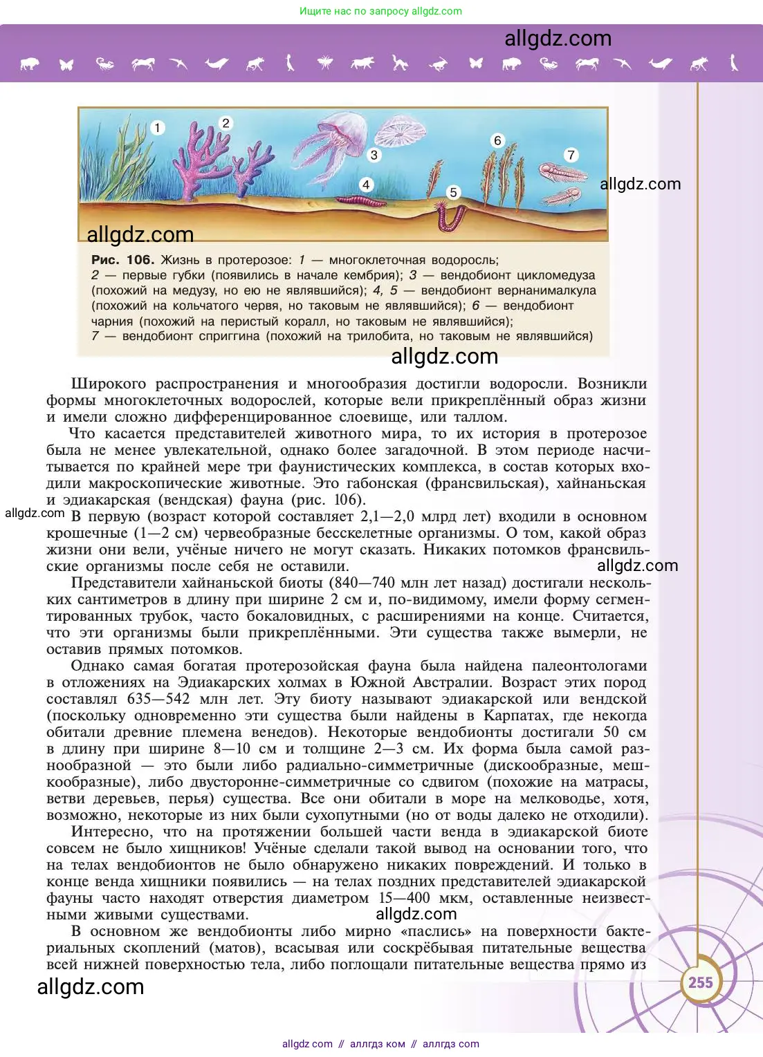 Биология, 11 класс Учебник, авторы: Пасечник Владимир Васильевич, Каменский Андрей Александрович, Рубцов Александр Михайлович, Швецов Глеб Геннадьевич, Абовян Леван Арташесович, Гапонюк Зоя Георгиевна, издательство Просвещение, Москва, 2019, страница 255