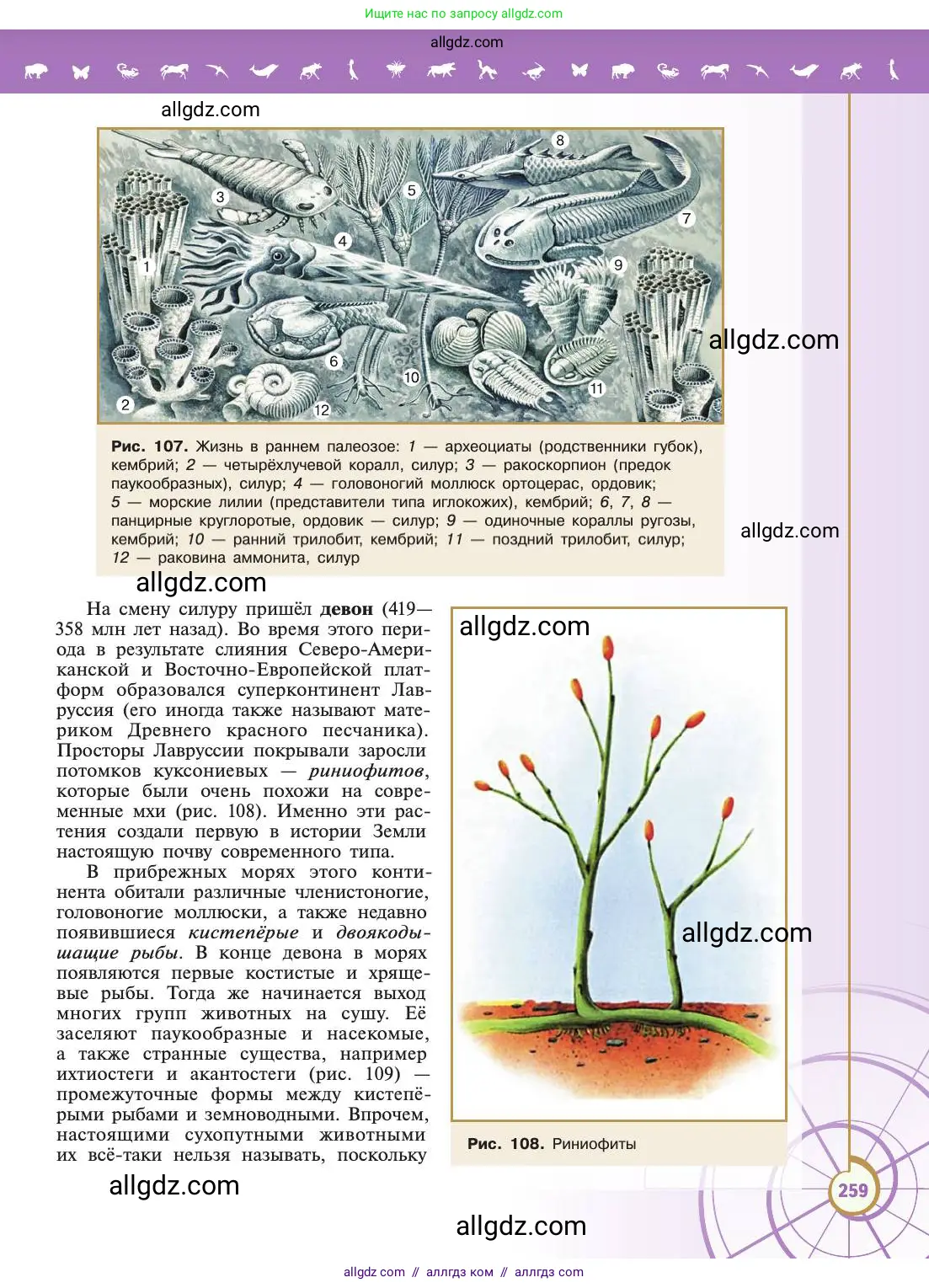 Биология, 11 класс Учебник, авторы: Пасечник Владимир Васильевич, Каменский Андрей Александрович, Рубцов Александр Михайлович, Швецов Глеб Геннадьевич, Абовян Леван Арташесович, Гапонюк Зоя Георгиевна, издательство Просвещение, Москва, 2019, страница 259