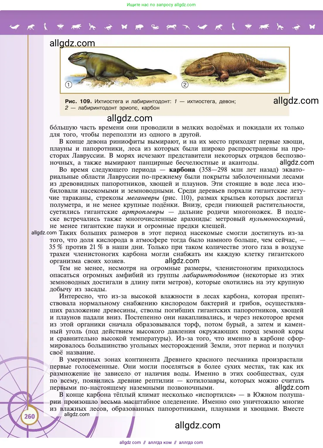 Биология, 11 класс Учебник, авторы: Пасечник Владимир Васильевич, Каменский Андрей Александрович, Рубцов Александр Михайлович, Швецов Глеб Геннадьевич, Абовян Леван Арташесович, Гапонюк Зоя Георгиевна, издательство Просвещение, Москва, 2019, страница 260