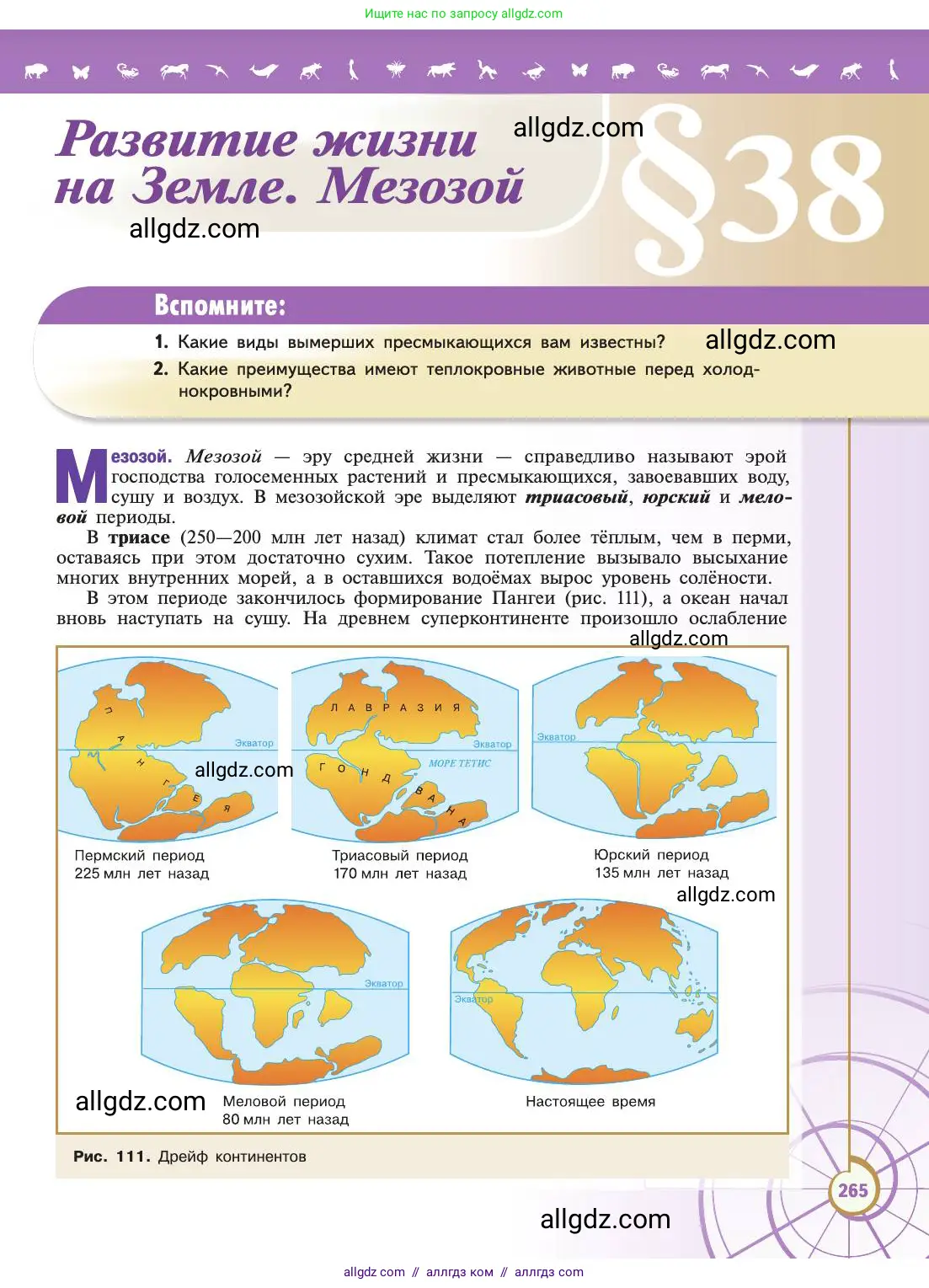 Биология, 11 класс Учебник, авторы: Пасечник Владимир Васильевич, Каменский Андрей Александрович, Рубцов Александр Михайлович, Швецов Глеб Геннадьевич, Абовян Леван Арташесович, Гапонюк Зоя Георгиевна, издательство Просвещение, Москва, 2019, страница 265