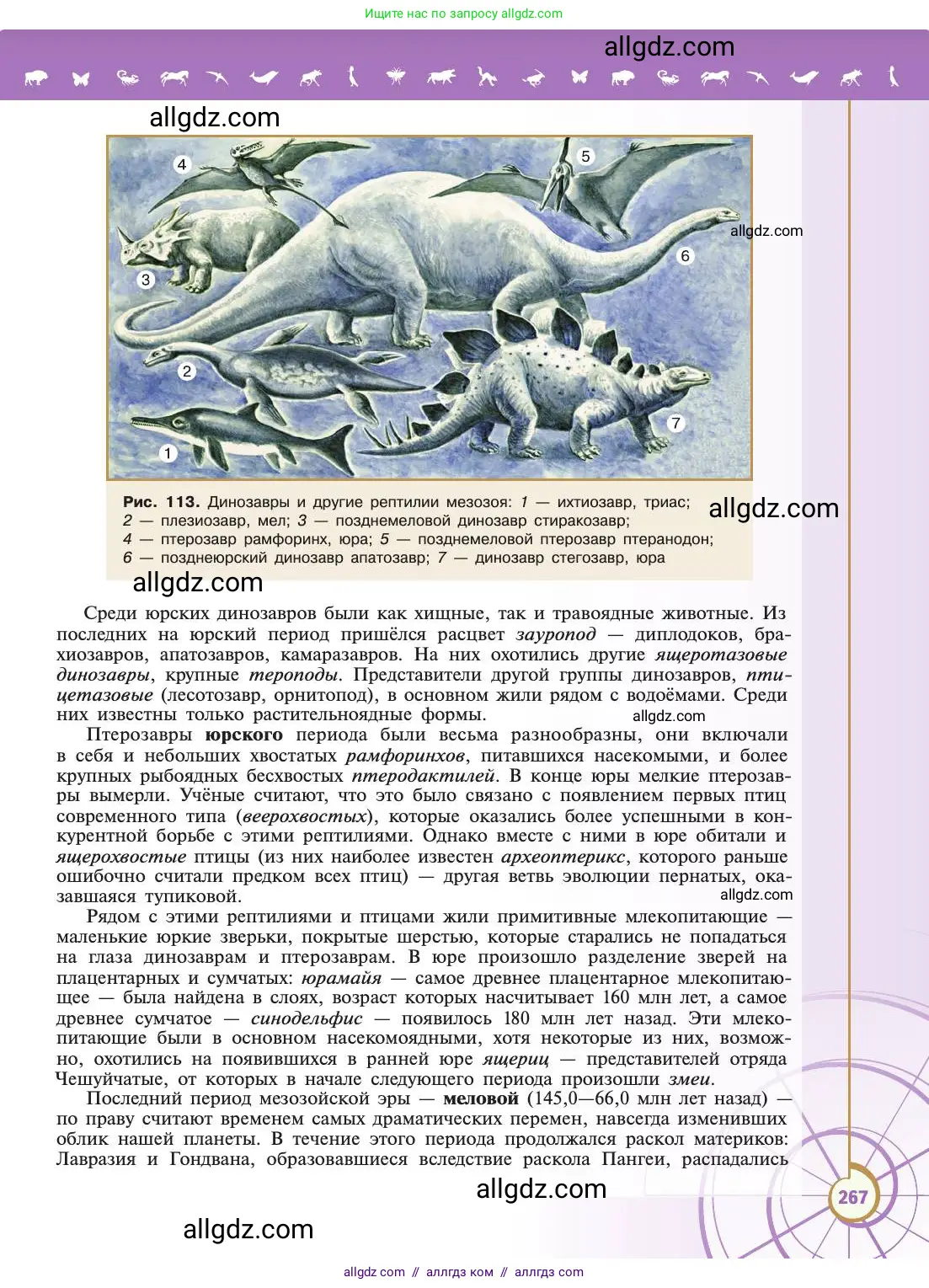 Биология, 11 класс Учебник, авторы: Пасечник Владимир Васильевич, Каменский Андрей Александрович, Рубцов Александр Михайлович, Швецов Глеб Геннадьевич, Абовян Леван Арташесович, Гапонюк Зоя Георгиевна, издательство Просвещение, Москва, 2019, страница 267
