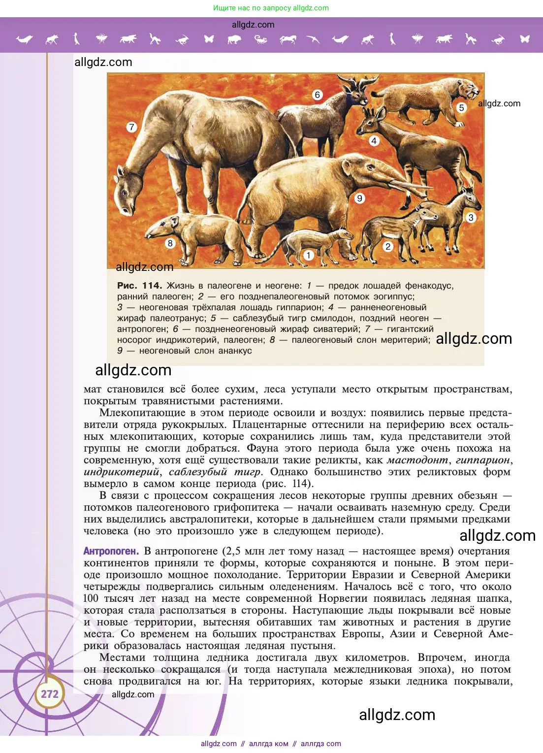 Биология, 11 класс Учебник, авторы: Пасечник Владимир Васильевич, Каменский Андрей Александрович, Рубцов Александр Михайлович, Швецов Глеб Геннадьевич, Абовян Леван Арташесович, Гапонюк Зоя Георгиевна, издательство Просвещение, Москва, 2019, страница 272