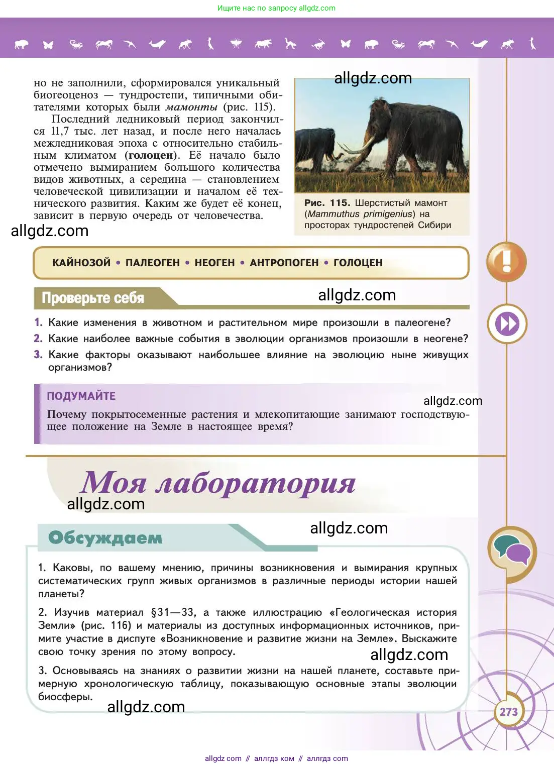 Биология, 11 класс Учебник, авторы: Пасечник Владимир Васильевич, Каменский Андрей Александрович, Рубцов Александр Михайлович, Швецов Глеб Геннадьевич, Абовян Леван Арташесович, Гапонюк Зоя Георгиевна, издательство Просвещение, Москва, 2019, страница 273