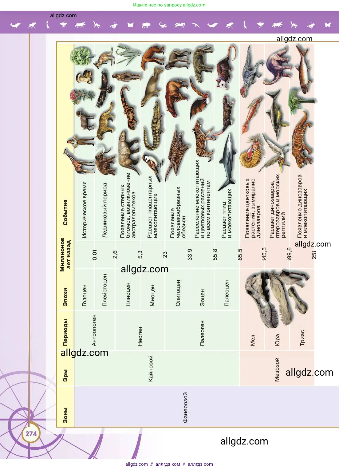 Биология, 11 класс Учебник, авторы: Пасечник Владимир Васильевич, Каменский Андрей Александрович, Рубцов Александр Михайлович, Швецов Глеб Геннадьевич, Абовян Леван Арташесович, Гапонюк Зоя Георгиевна, издательство Просвещение, Москва, 2019, страница 274