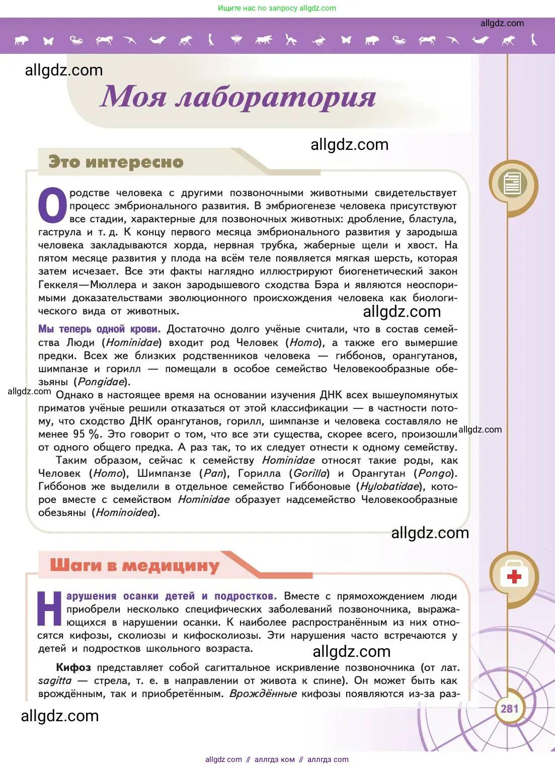 Биология, 11 класс Учебник, авторы: Пасечник Владимир Васильевич, Каменский Андрей Александрович, Рубцов Александр Михайлович, Швецов Глеб Геннадьевич, Абовян Леван Арташесович, Гапонюк Зоя Георгиевна, издательство Просвещение, Москва, 2019, страница 281