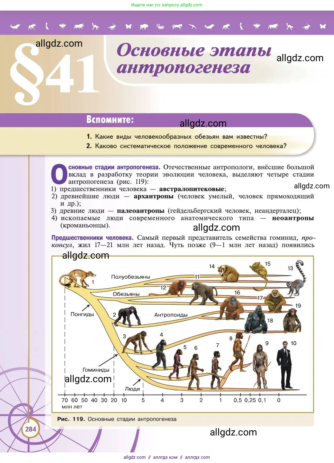 Биология, 11 класс Учебник, авторы: Пасечник Владимир Васильевич, Каменский Андрей Александрович, Рубцов Александр Михайлович, Швецов Глеб Геннадьевич, Абовян Леван Арташесович, Гапонюк Зоя Георгиевна, издательство Просвещение, Москва, 2019, страница 284
