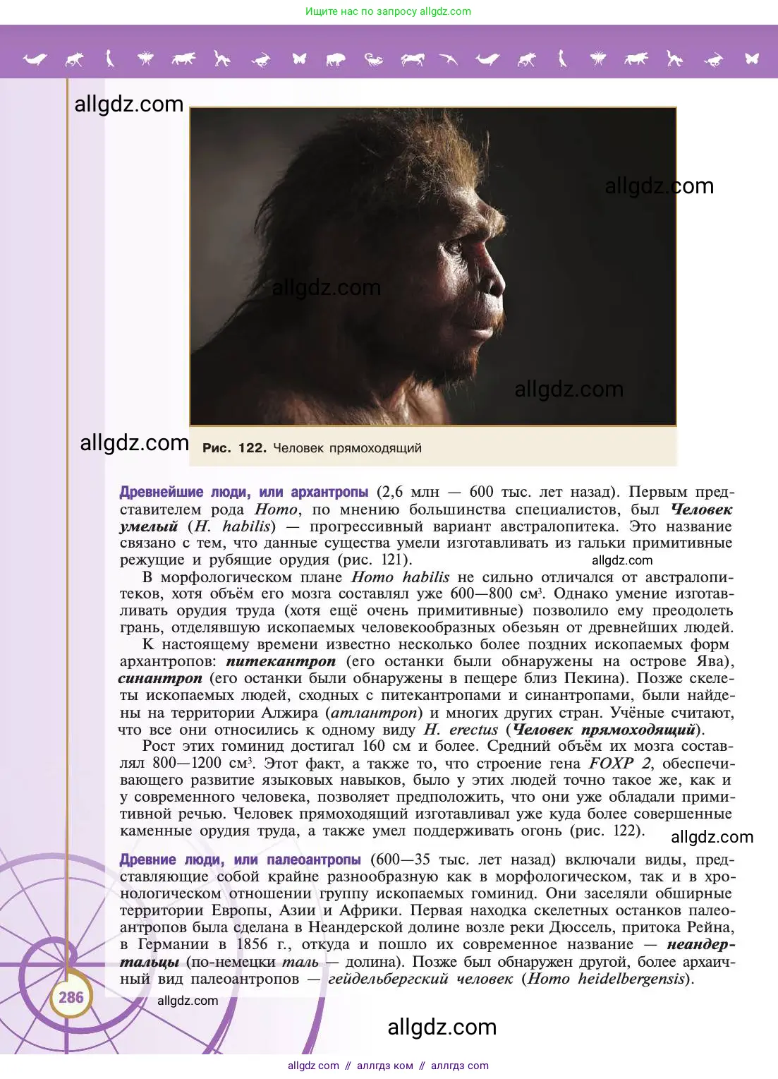 Биология, 11 класс Учебник, авторы: Пасечник Владимир Васильевич, Каменский Андрей Александрович, Рубцов Александр Михайлович, Швецов Глеб Геннадьевич, Абовян Леван Арташесович, Гапонюк Зоя Георгиевна, издательство Просвещение, Москва, 2019, страница 286