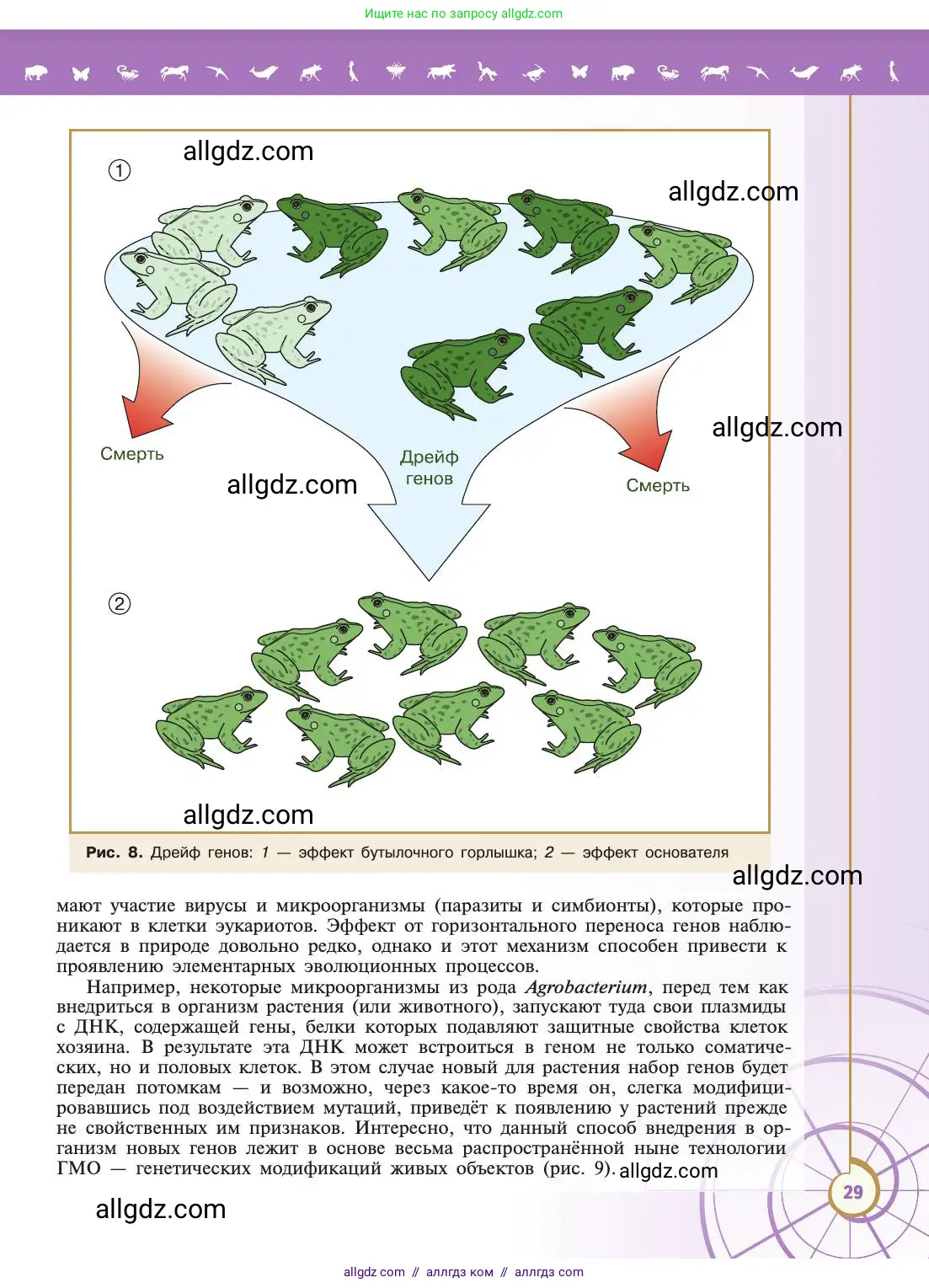 Биология, 11 класс Учебник, авторы: Пасечник Владимир Васильевич, Каменский Андрей Александрович, Рубцов Александр Михайлович, Швецов Глеб Геннадьевич, Абовян Леван Арташесович, Гапонюк Зоя Георгиевна, издательство Просвещение, Москва, 2019, страница 29
