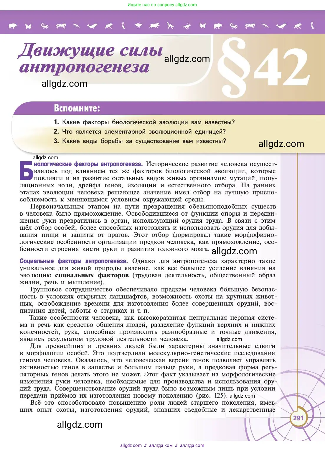 Биология, 11 класс Учебник, авторы: Пасечник Владимир Васильевич, Каменский Андрей Александрович, Рубцов Александр Михайлович, Швецов Глеб Геннадьевич, Абовян Леван Арташесович, Гапонюк Зоя Георгиевна, издательство Просвещение, Москва, 2019, страница 291