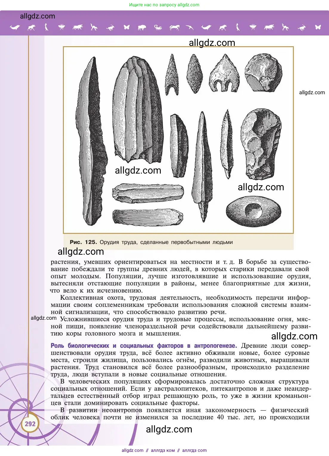 Биология, 11 класс Учебник, авторы: Пасечник Владимир Васильевич, Каменский Андрей Александрович, Рубцов Александр Михайлович, Швецов Глеб Геннадьевич, Абовян Леван Арташесович, Гапонюк Зоя Георгиевна, издательство Просвещение, Москва, 2019, страница 292