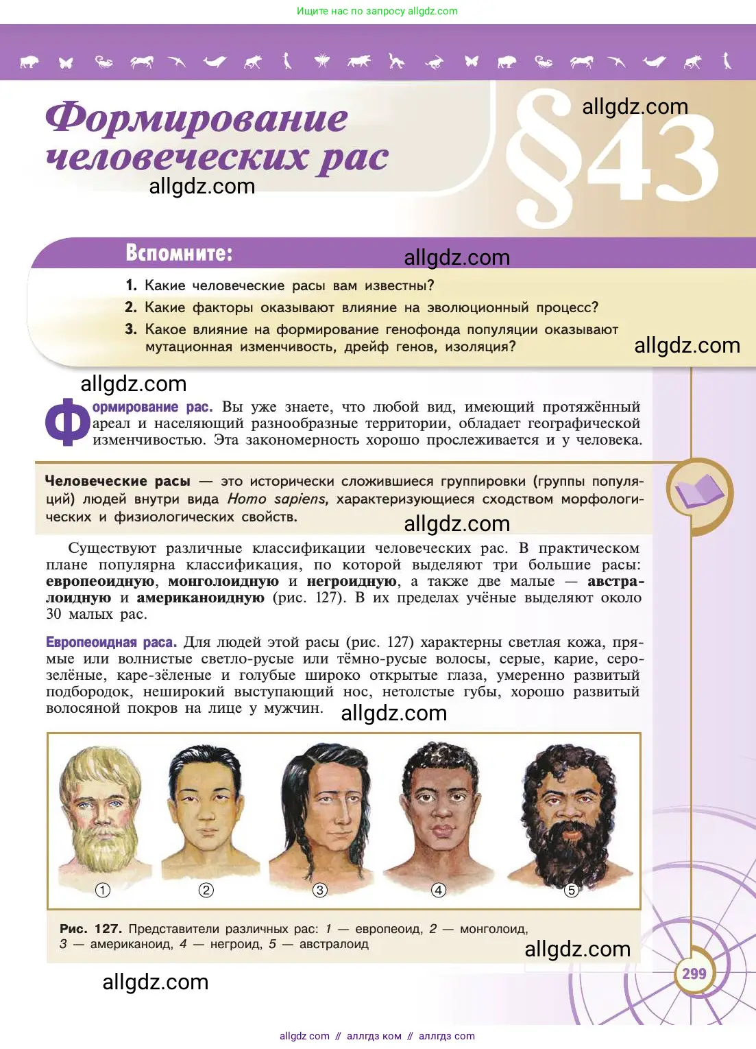 Биология, 11 класс Учебник, авторы: Пасечник Владимир Васильевич, Каменский Андрей Александрович, Рубцов Александр Михайлович, Швецов Глеб Геннадьевич, Абовян Леван Арташесович, Гапонюк Зоя Георгиевна, издательство Просвещение, Москва, 2019, страница 299
