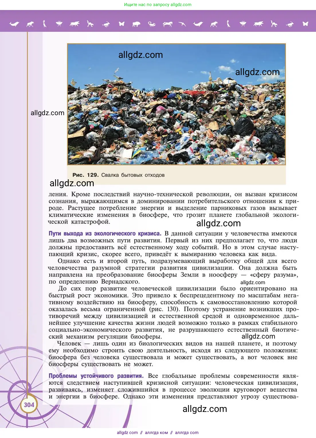 Биология, 11 класс Учебник, авторы: Пасечник Владимир Васильевич, Каменский Андрей Александрович, Рубцов Александр Михайлович, Швецов Глеб Геннадьевич, Абовян Леван Арташесович, Гапонюк Зоя Георгиевна, издательство Просвещение, Москва, 2019, страница 304