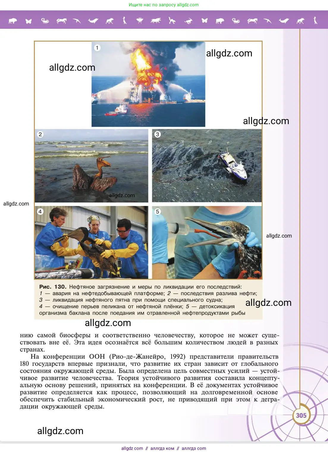 Биология, 11 класс Учебник, авторы: Пасечник Владимир Васильевич, Каменский Андрей Александрович, Рубцов Александр Михайлович, Швецов Глеб Геннадьевич, Абовян Леван Арташесович, Гапонюк Зоя Георгиевна, издательство Просвещение, Москва, 2019, страница 305