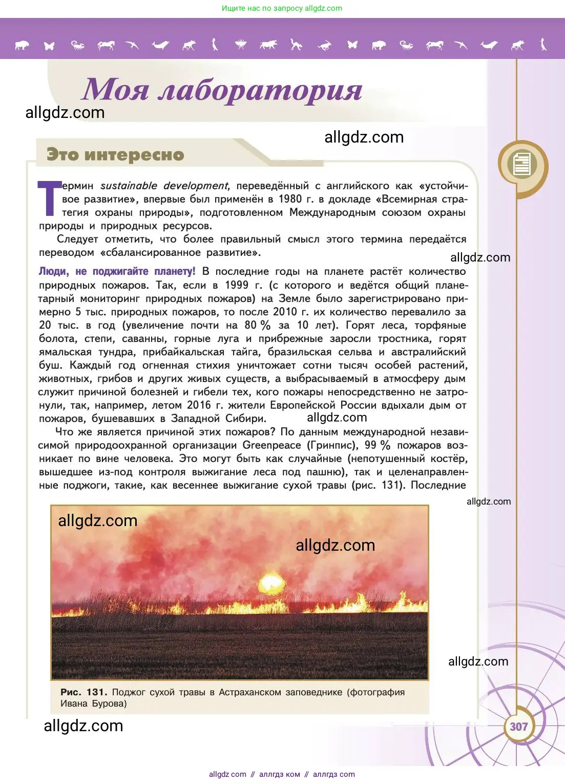 Биология, 11 класс Учебник, авторы: Пасечник Владимир Васильевич, Каменский Андрей Александрович, Рубцов Александр Михайлович, Швецов Глеб Геннадьевич, Абовян Леван Арташесович, Гапонюк Зоя Георгиевна, издательство Просвещение, Москва, 2019, страница 307